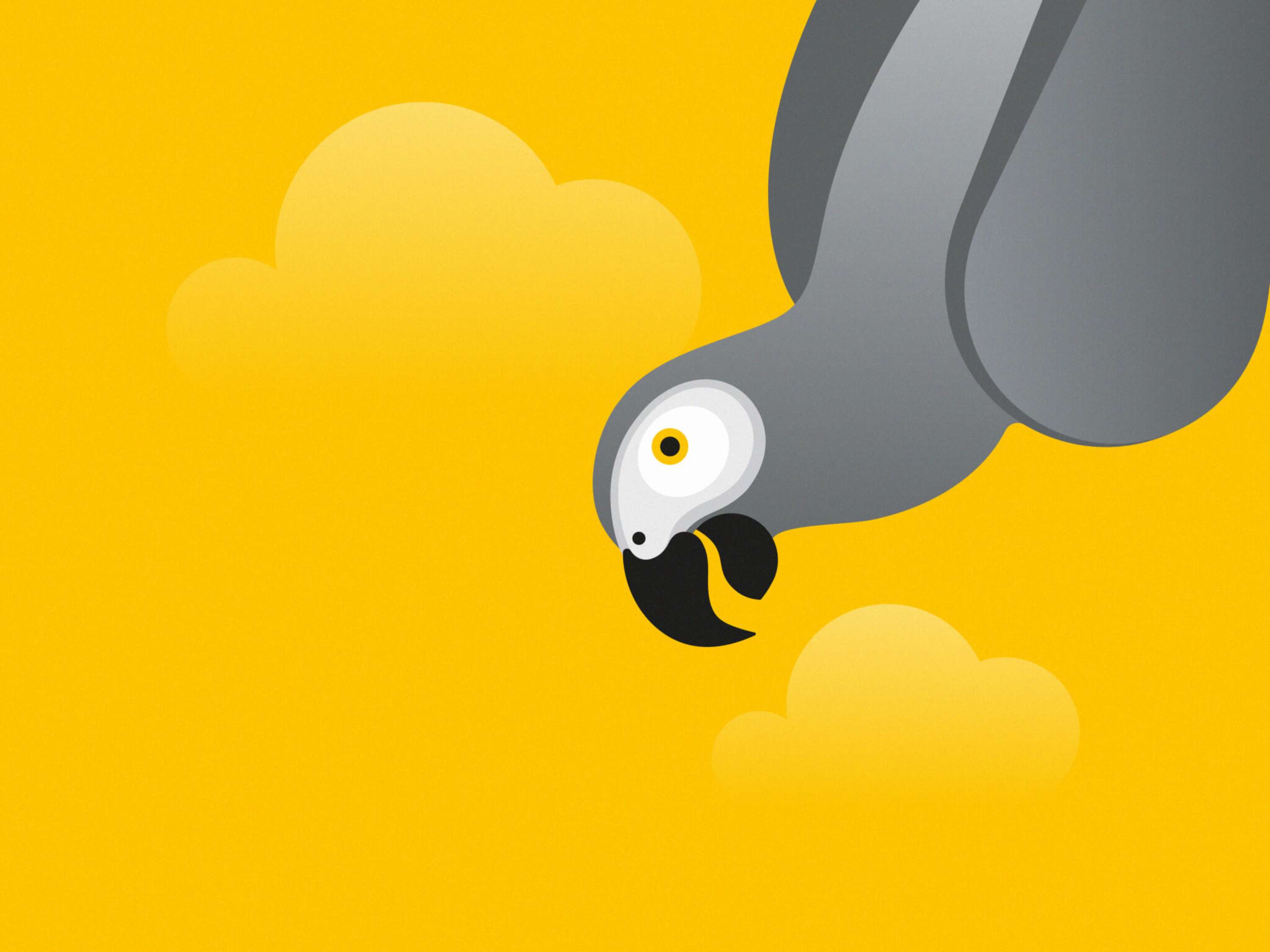 Launching a low-cost airline. In Africa. In 60 days. From scratch. by SomeOne