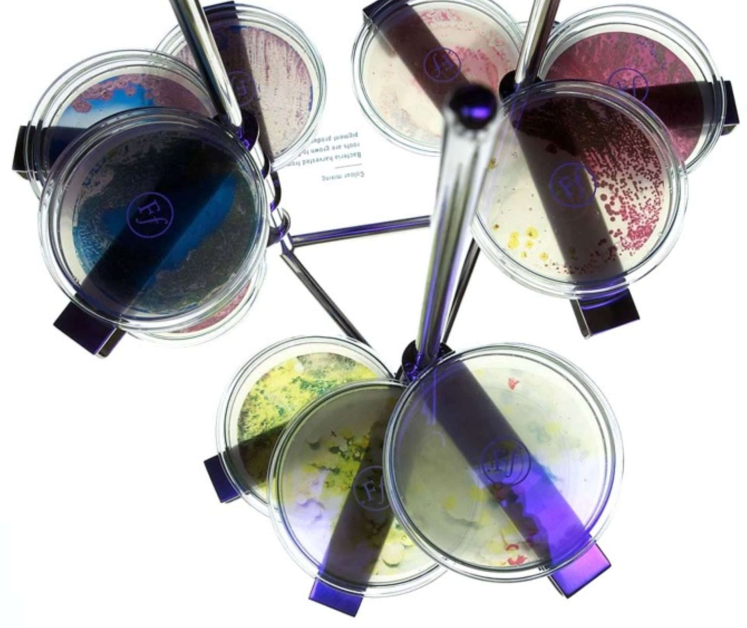 Faber Futures | Experiment no. 2 | The Rhizosphere Pigment Lab by Natsai Audrey Chieza