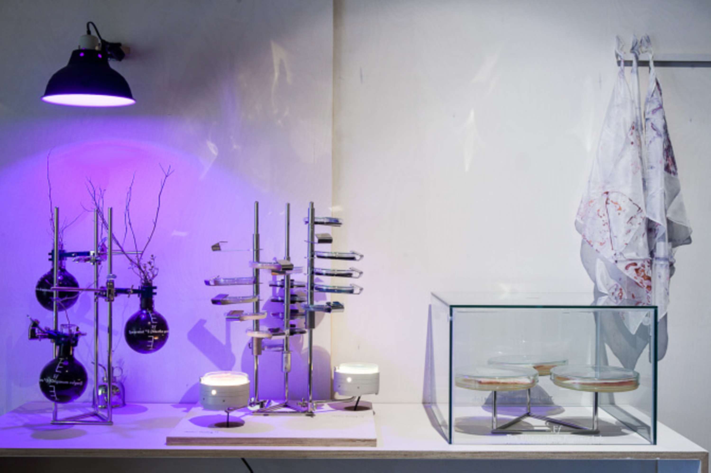Faber Futures | Experiment no. 2 | The Rhizosphere Pigment Lab by Natsai Audrey Chieza