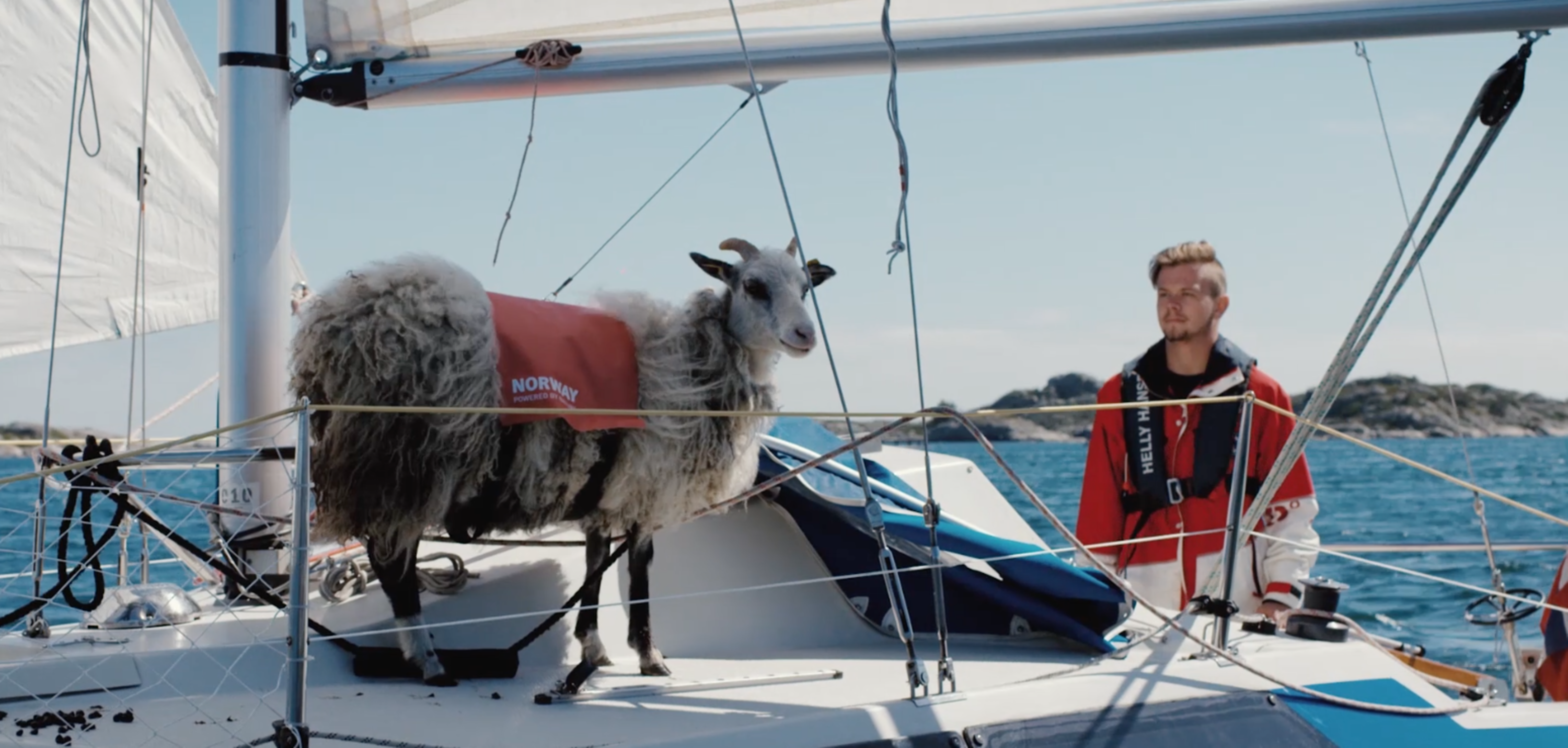 #SheepWithaView by mr.h London
