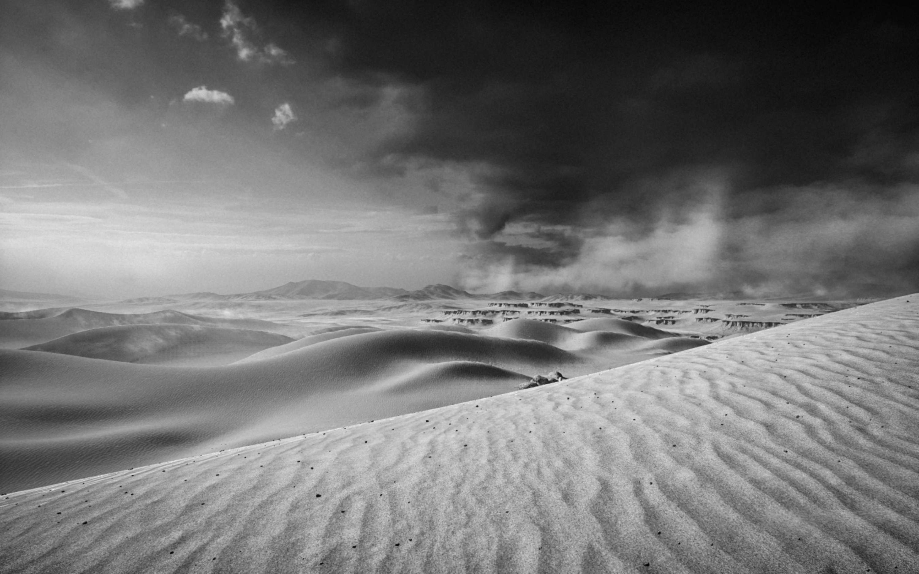 Inner Visions by Alejandro Romero