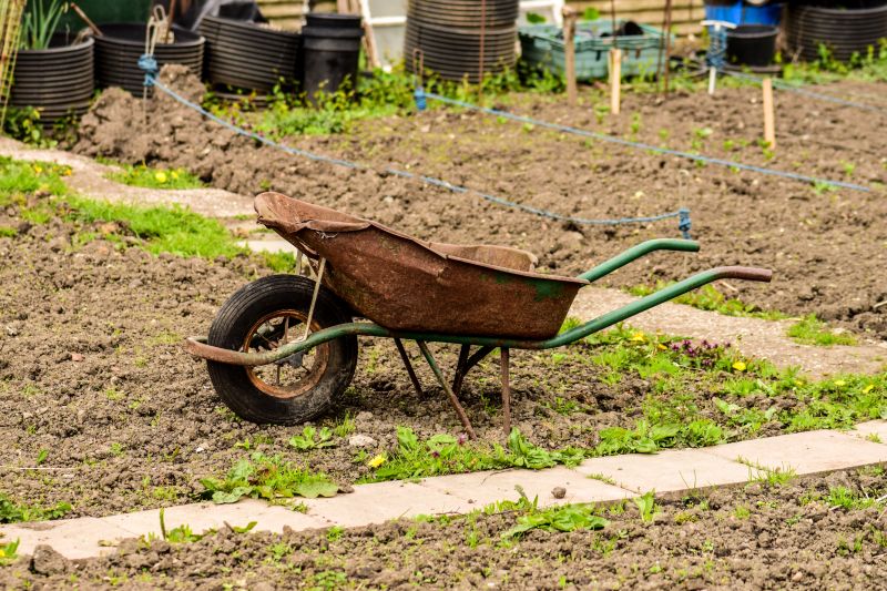 The British Allotment by Ashton Moran