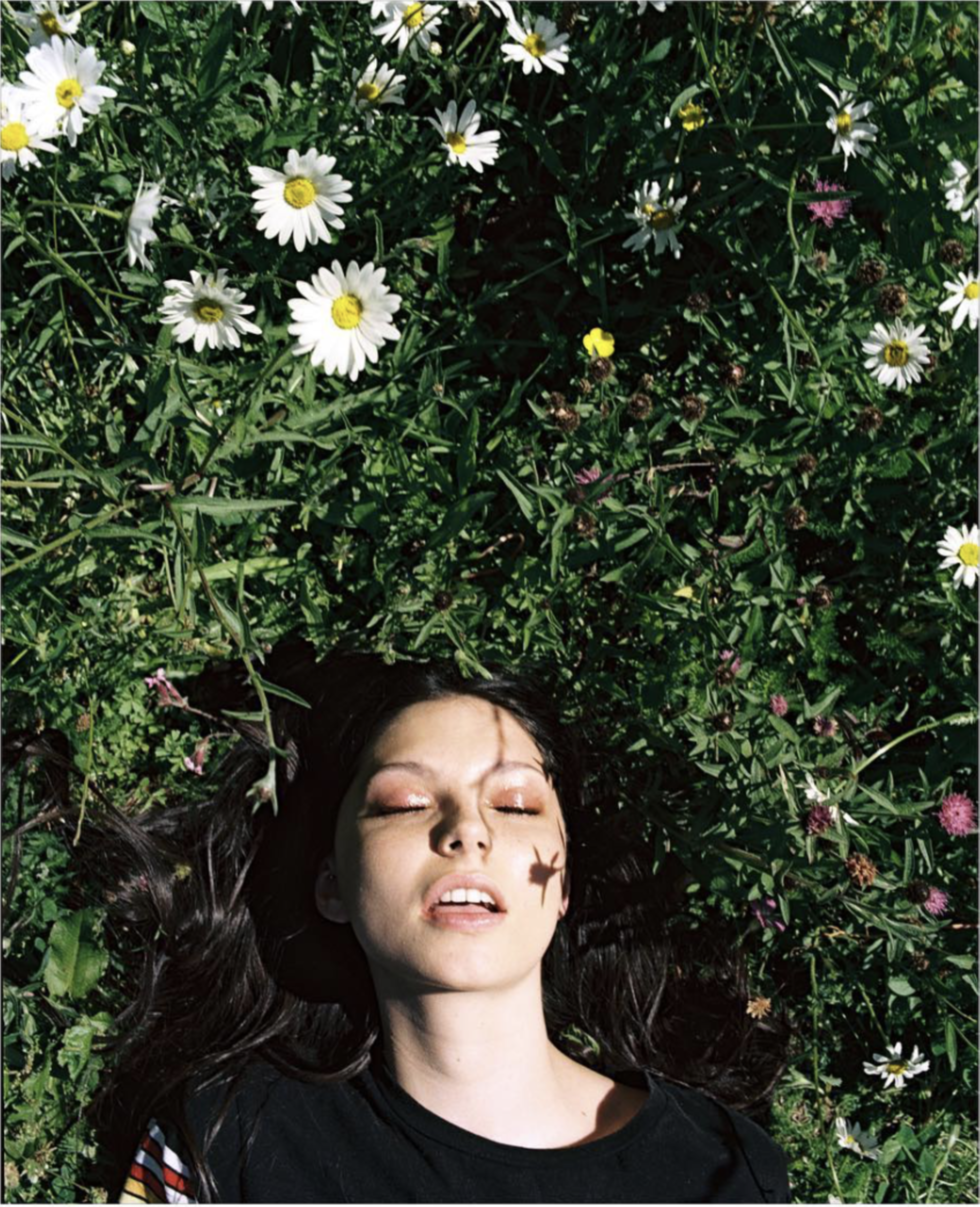 Go See's by Ella Williams