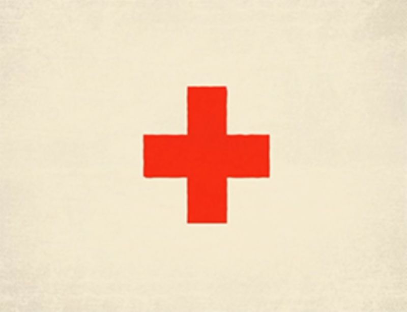 Red Cross Surge Optimisation Video by Abi Meats