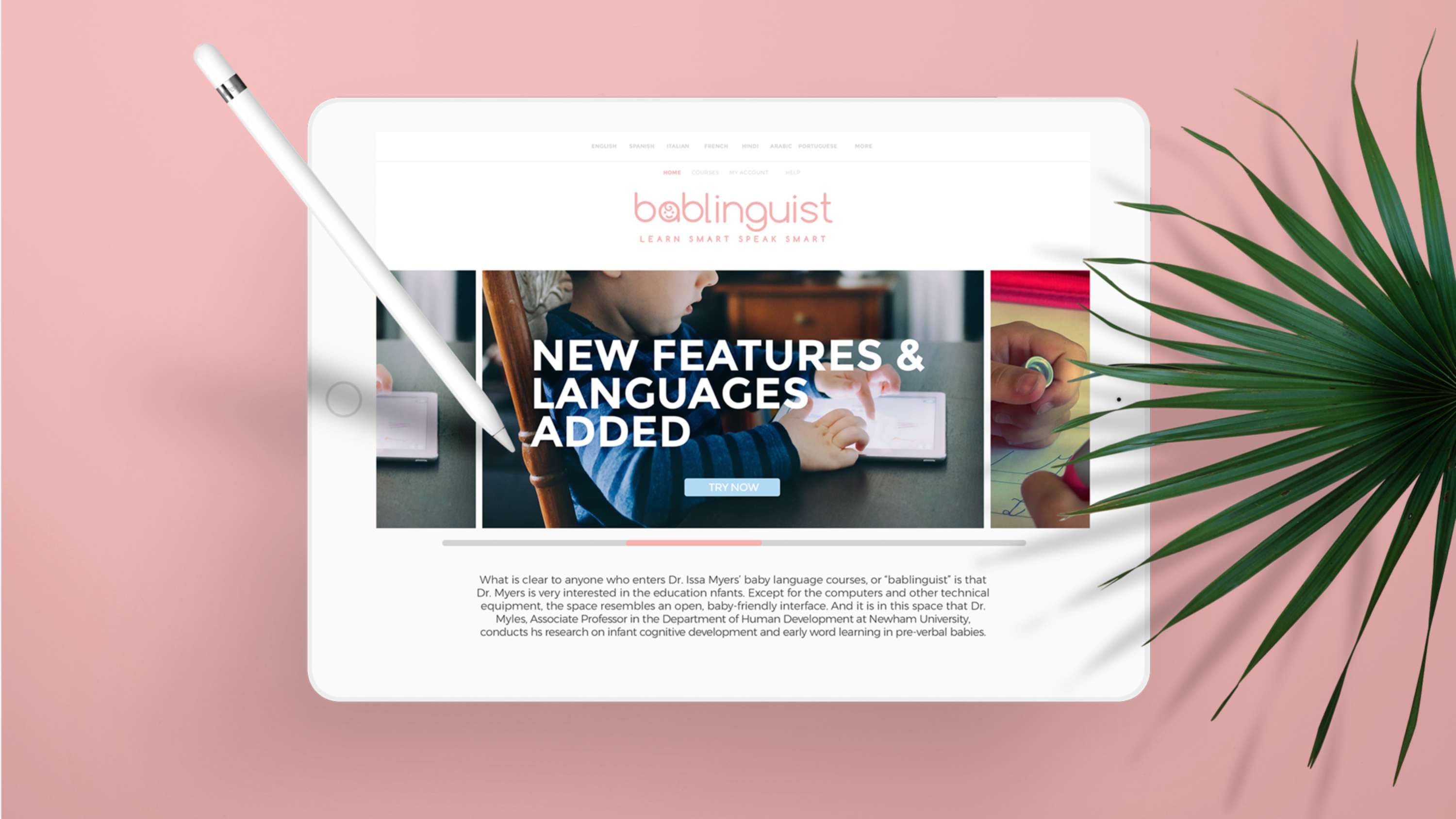 Bablinguist by Geraint Jones