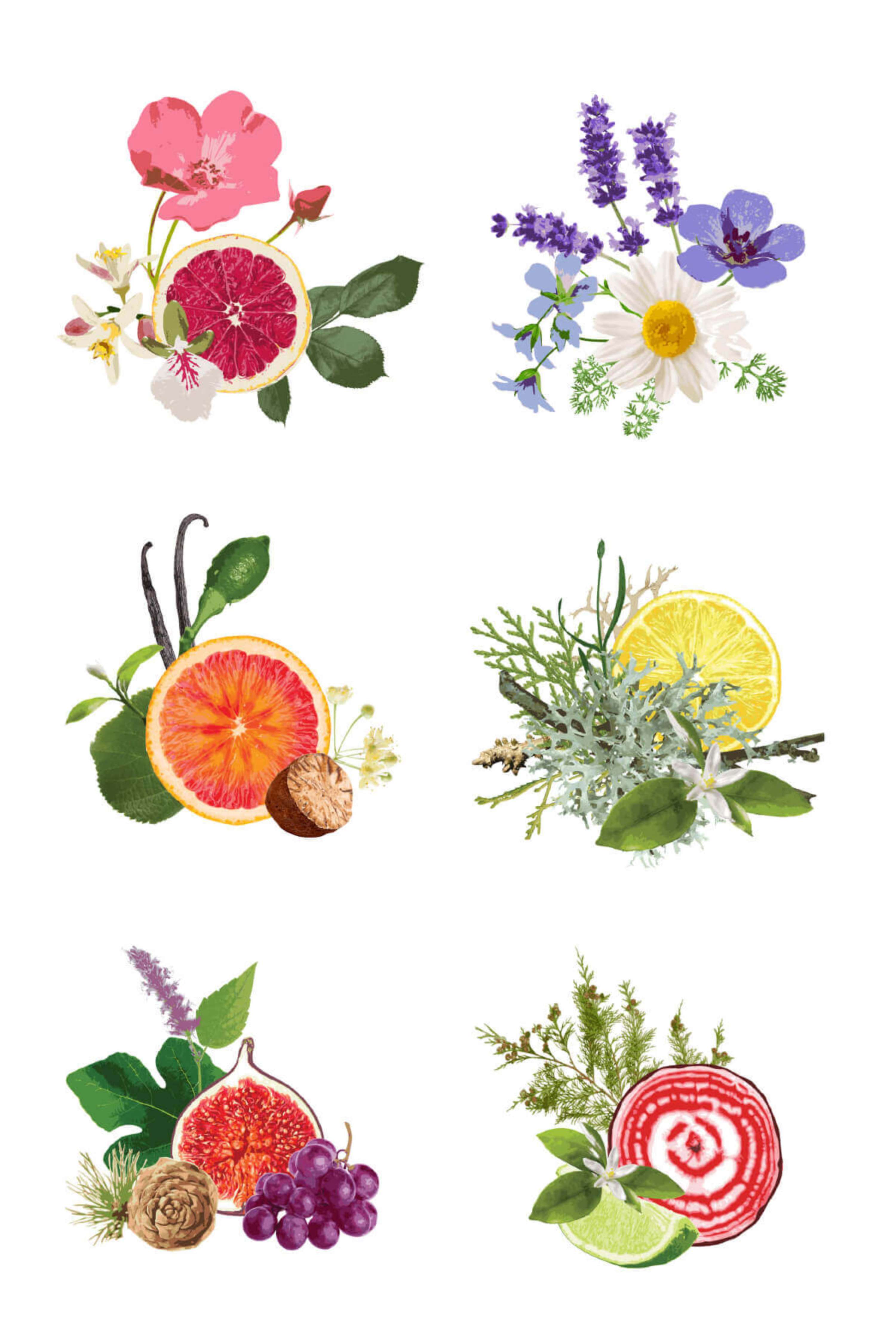 Button & Wilde by Grain