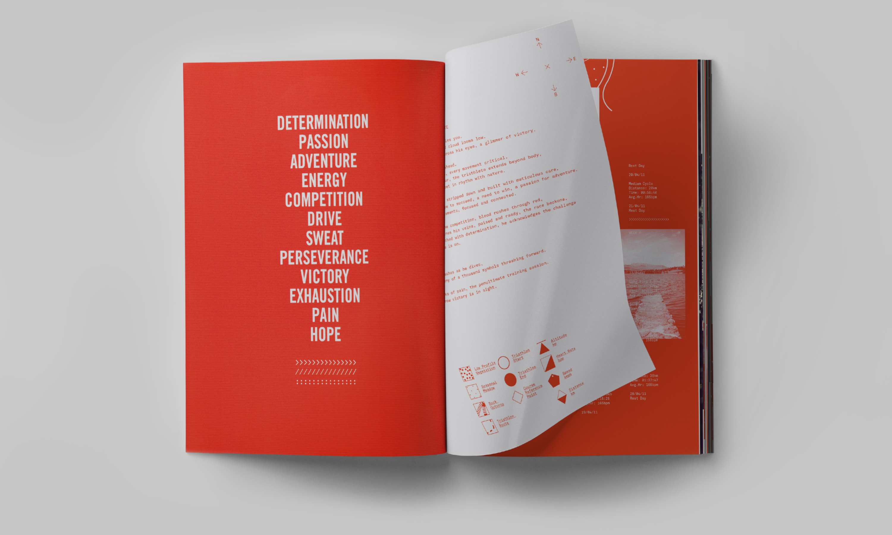 The Diary of a Triathlete by Ryan Spacey