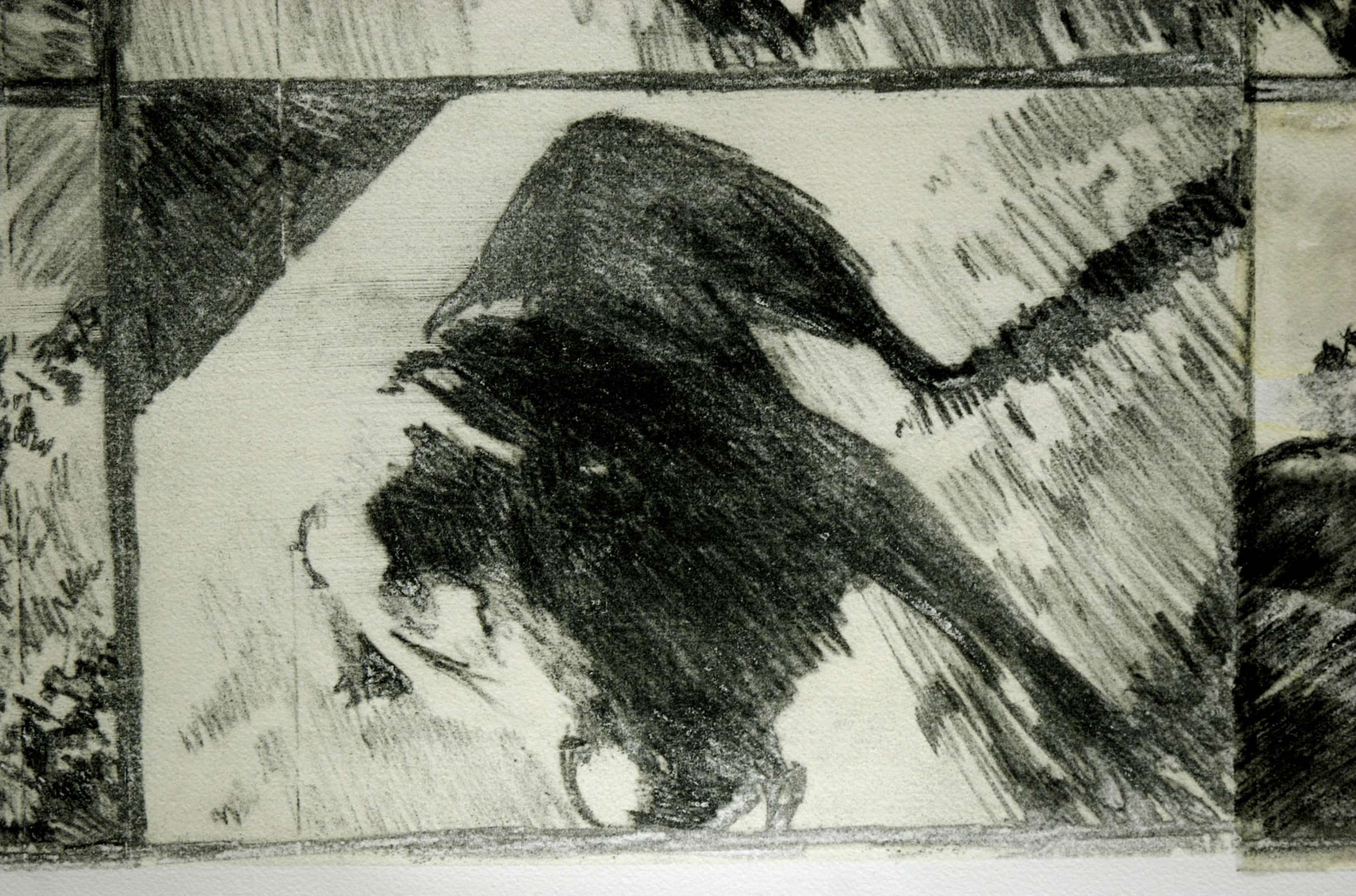 Graphite Silkscreen Prints and Research by Kevin McGarry