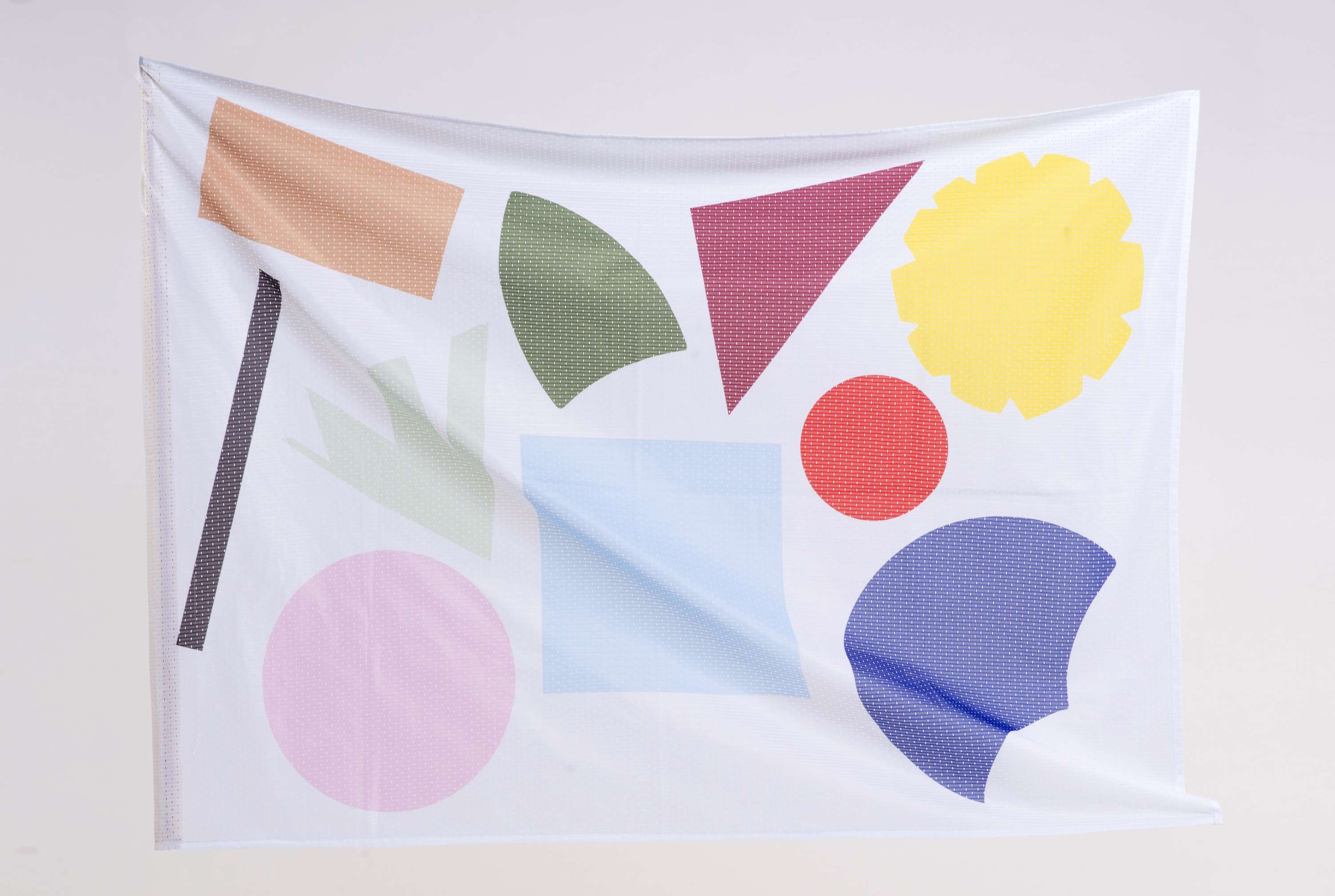 The Interdisciplinary Project by Carol Bergin