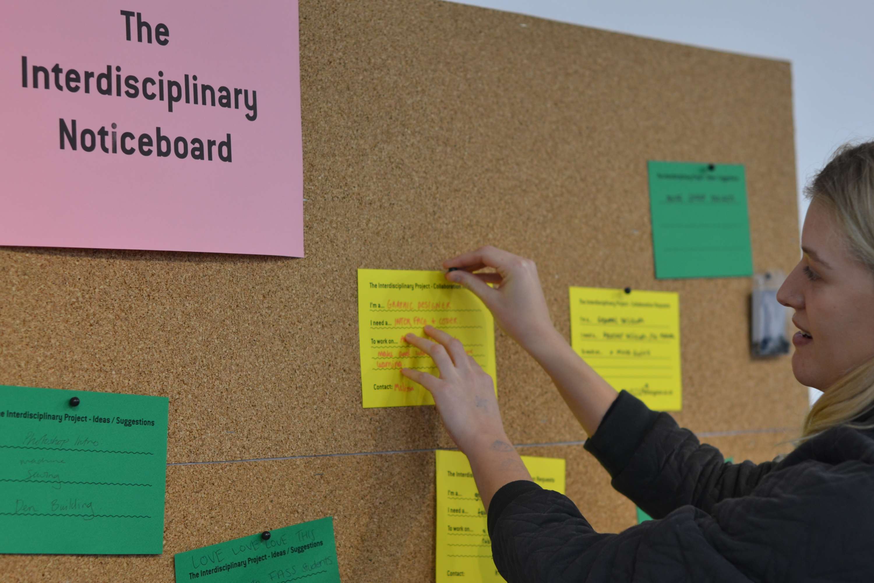 The Interdisciplinary Project by Carol Bergin