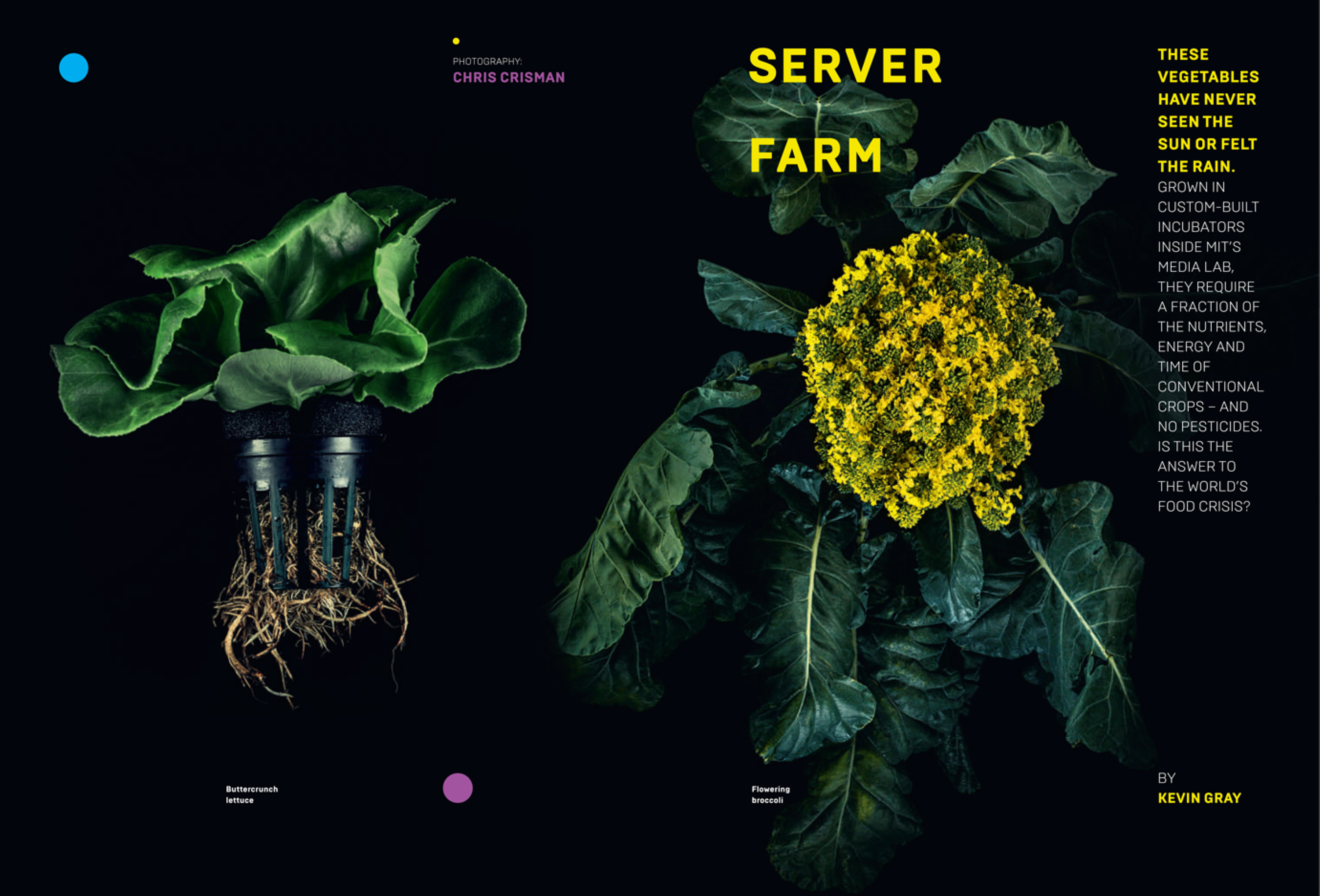Art Direction & Editorial Design by Ben Fraser