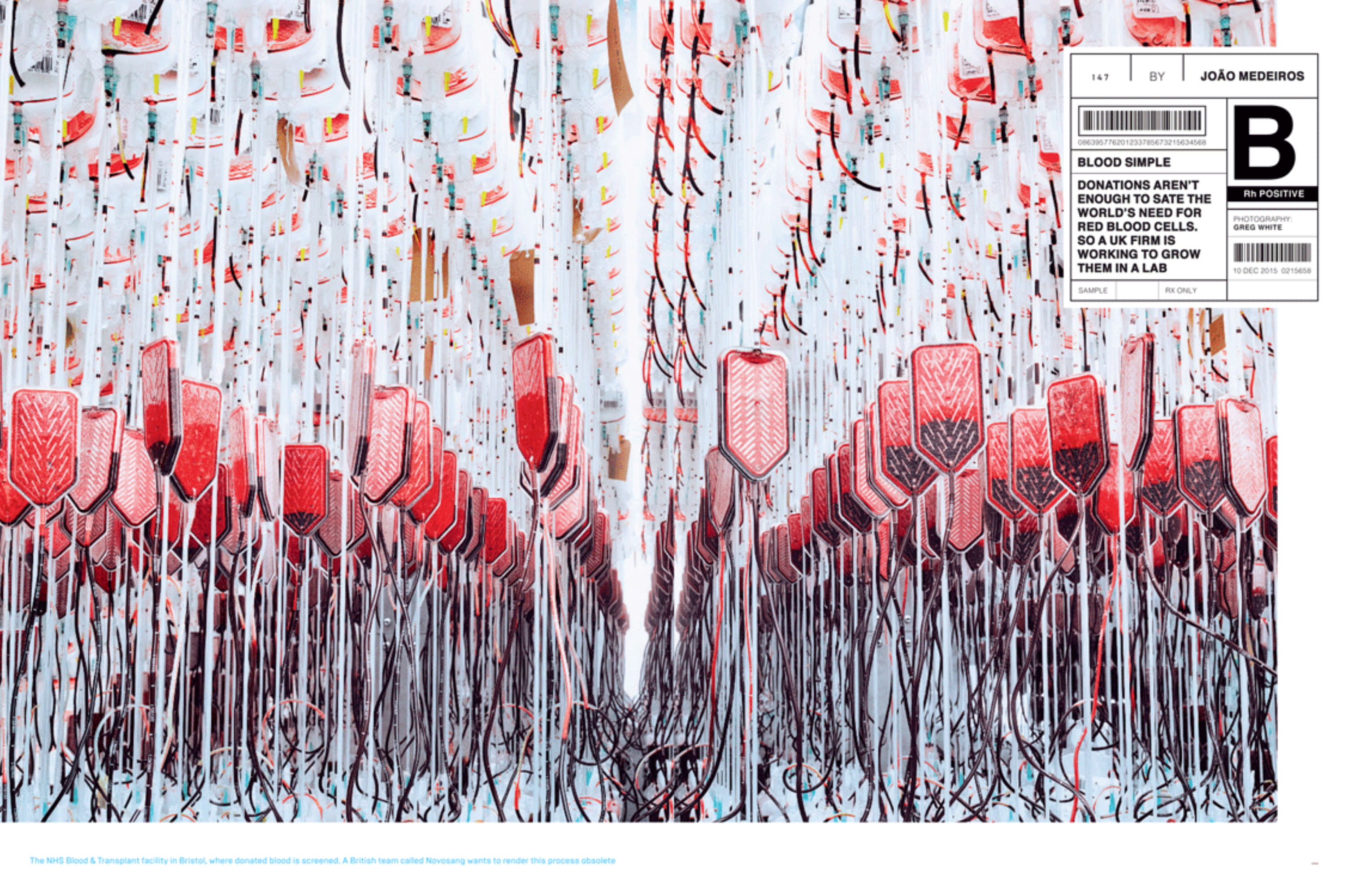 Art Direction & Editorial Design by Ben Fraser