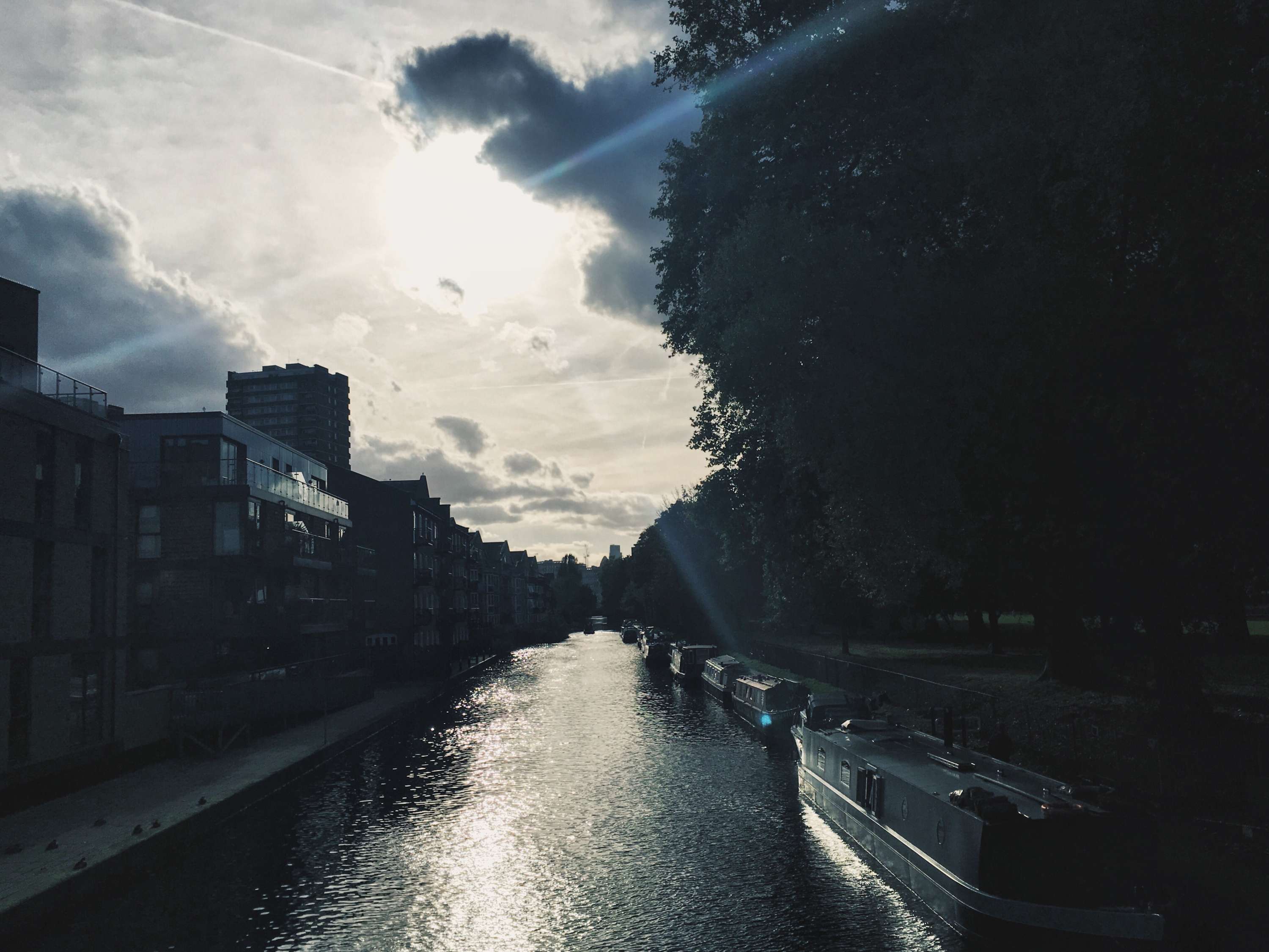 iPhone only — Photography by Mona Sharif