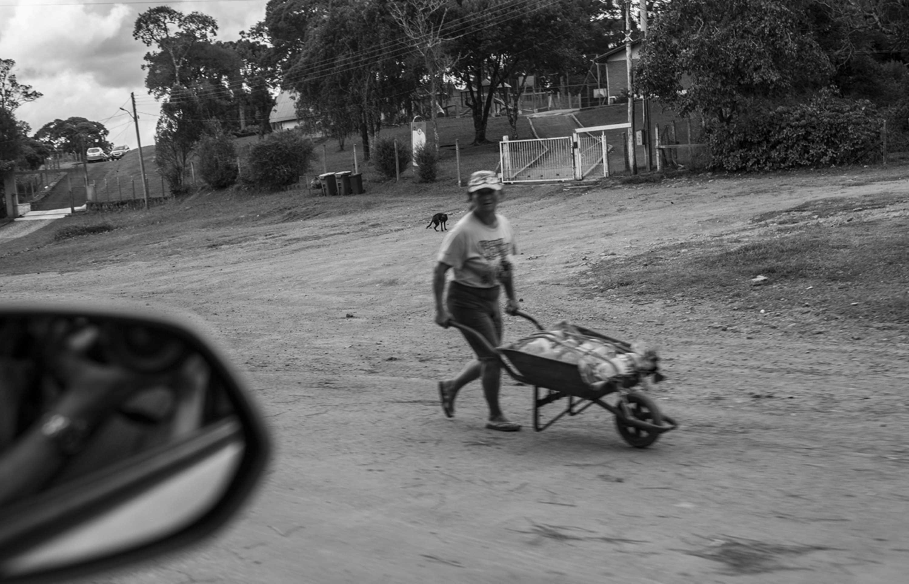 From a Car Window by Gui Pinto