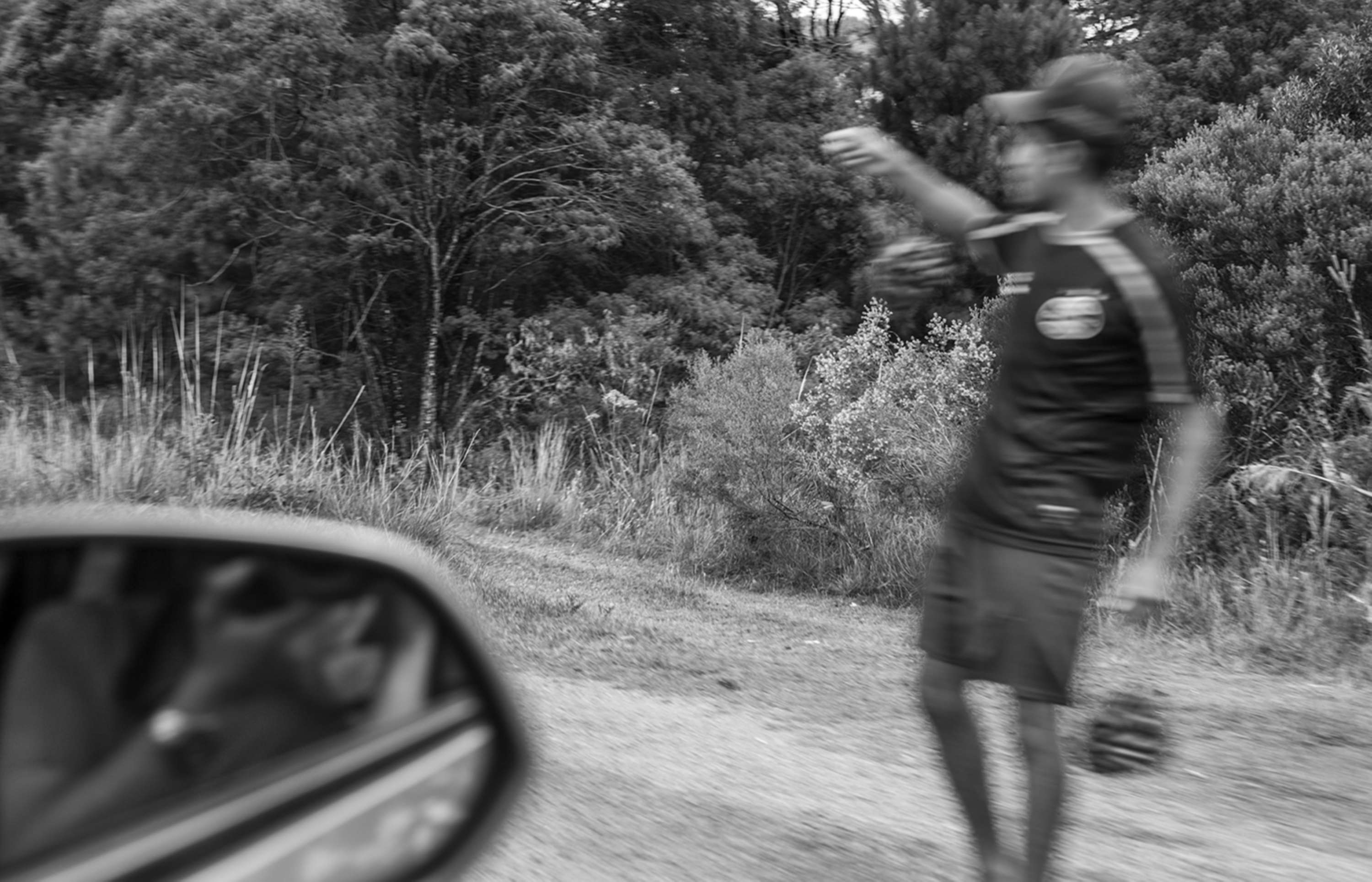 From a Car Window by Gui Pinto