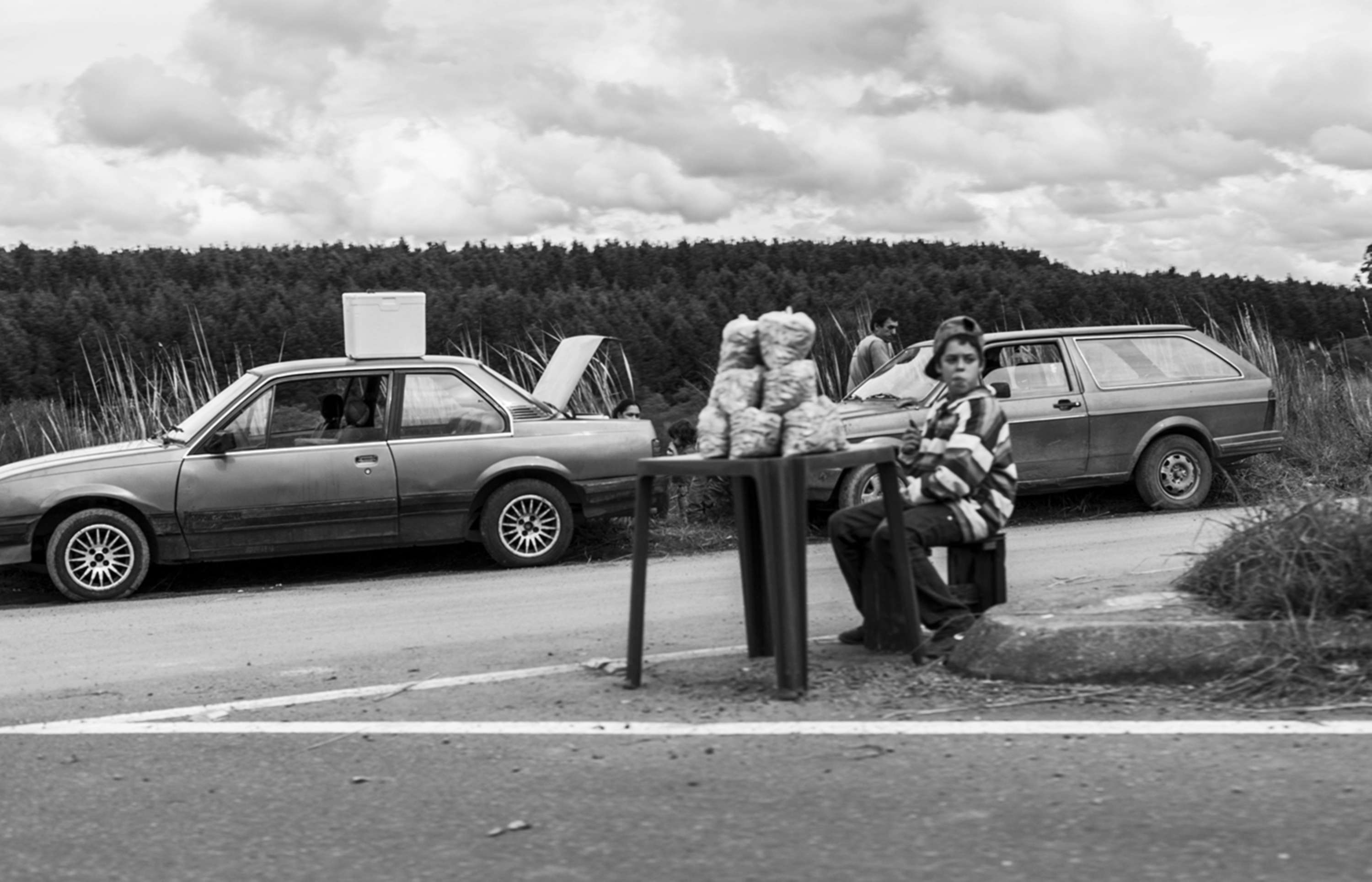 From a Car Window by Gui Pinto
