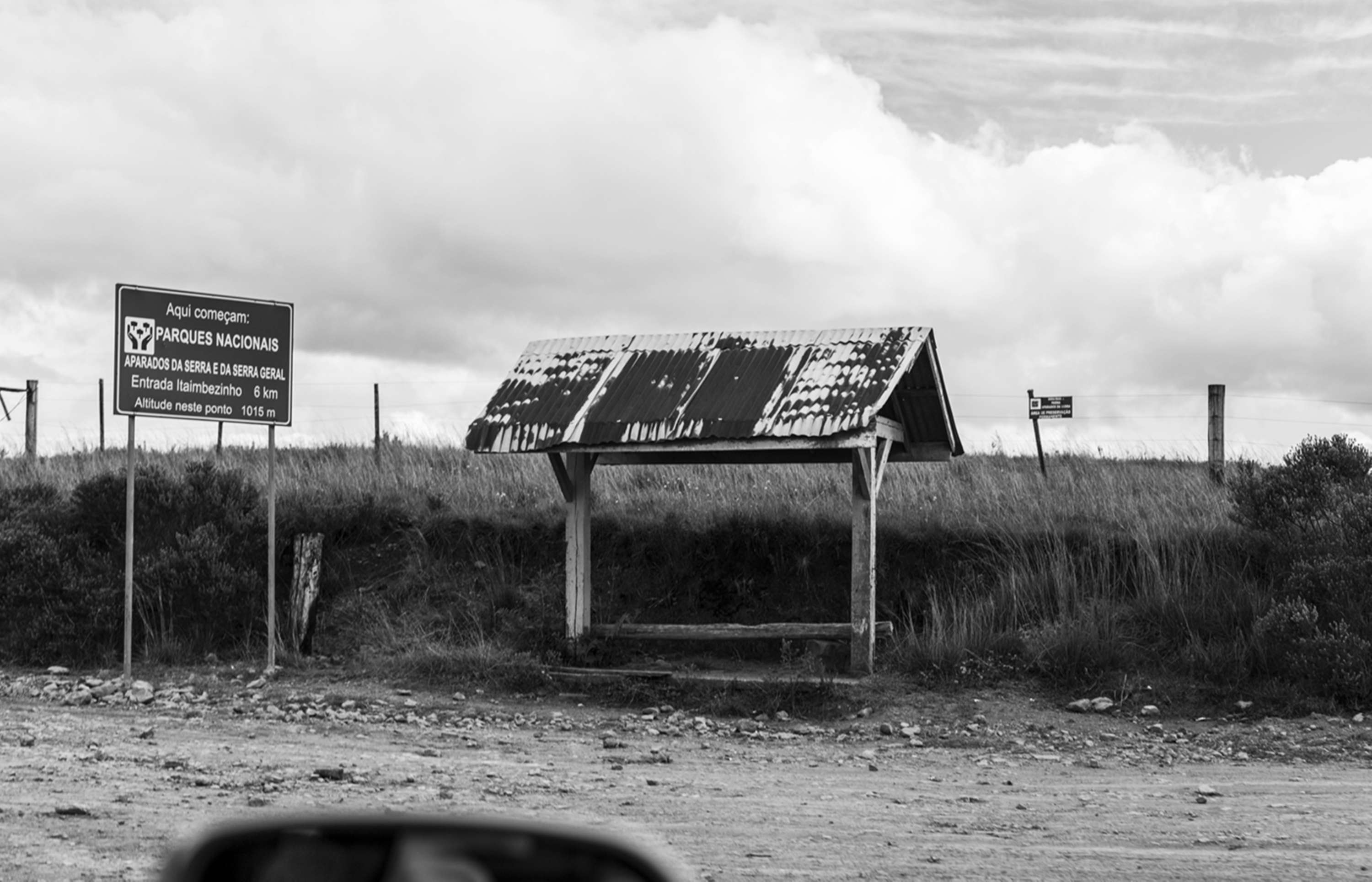From a Car Window by Gui Pinto