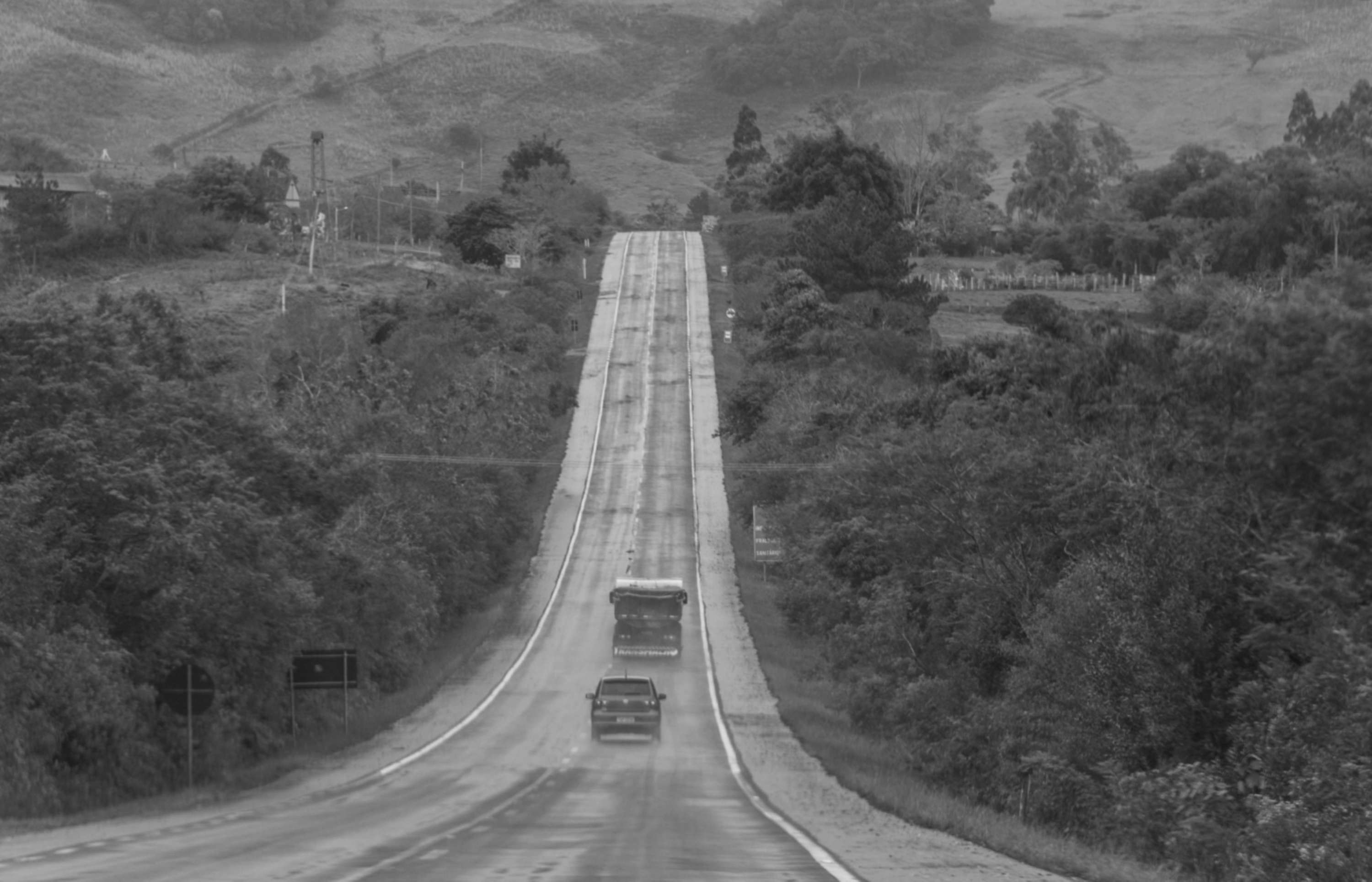 From a Car Window by Gui Pinto