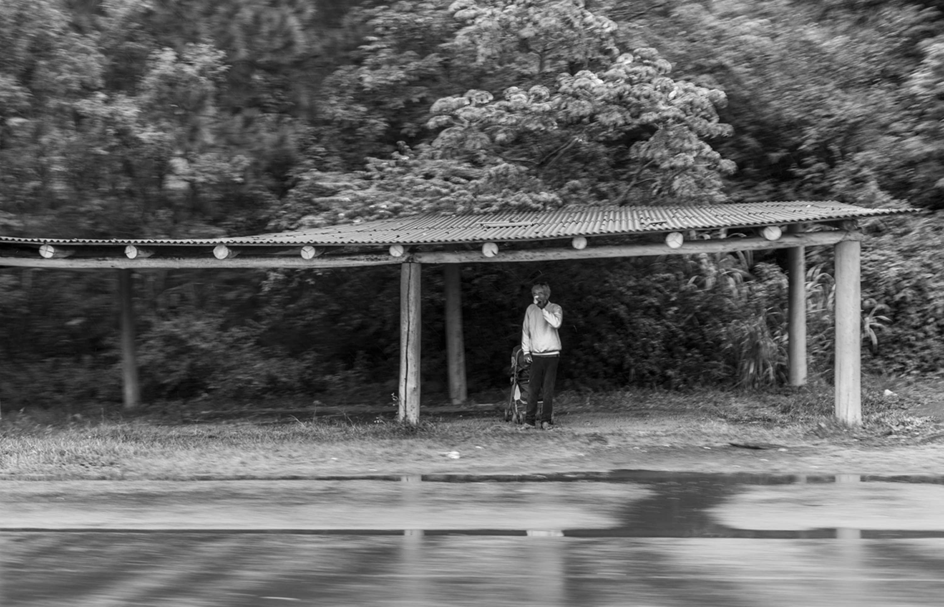 From a Car Window by Gui Pinto