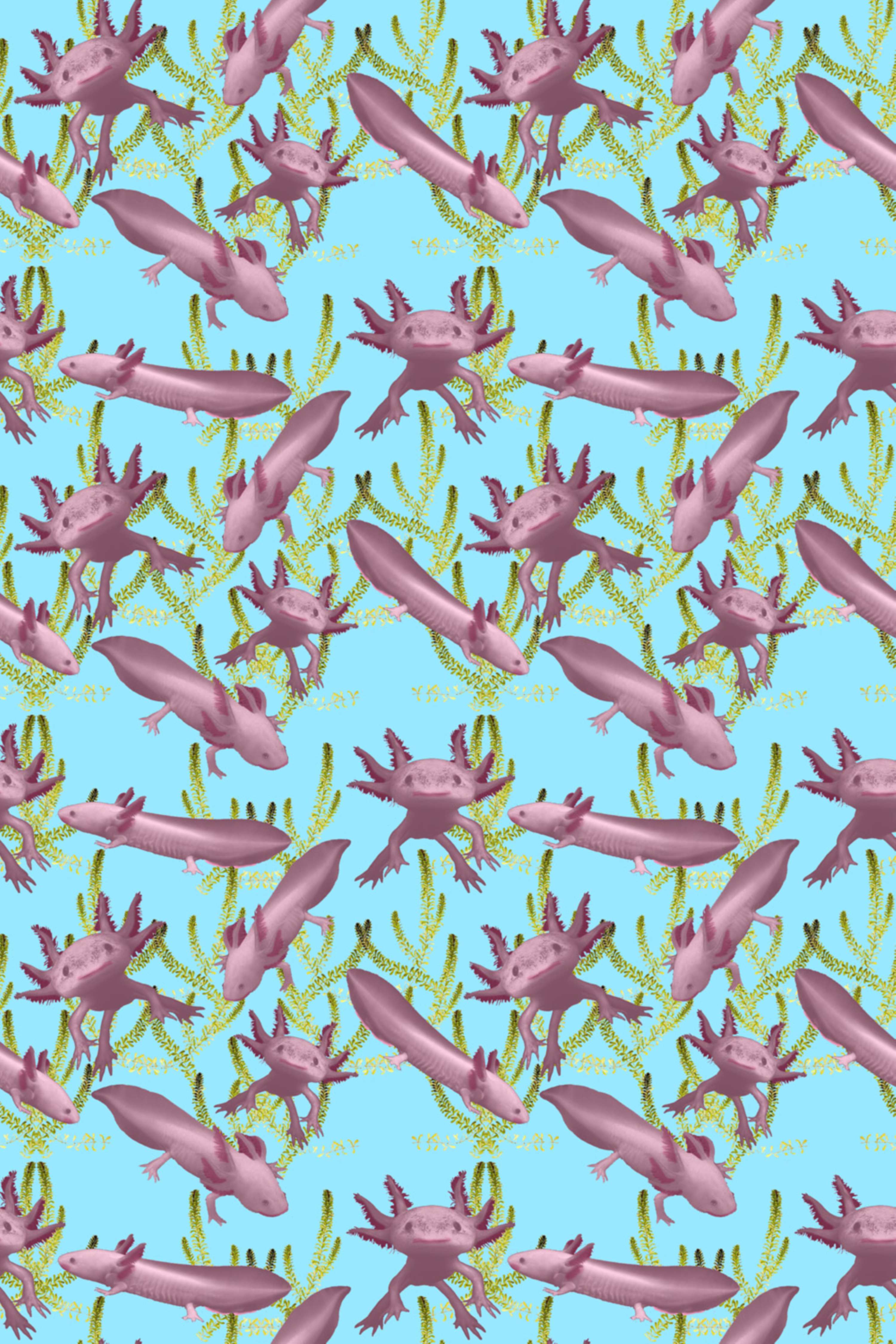 Pattern Designs by Phil Corbett