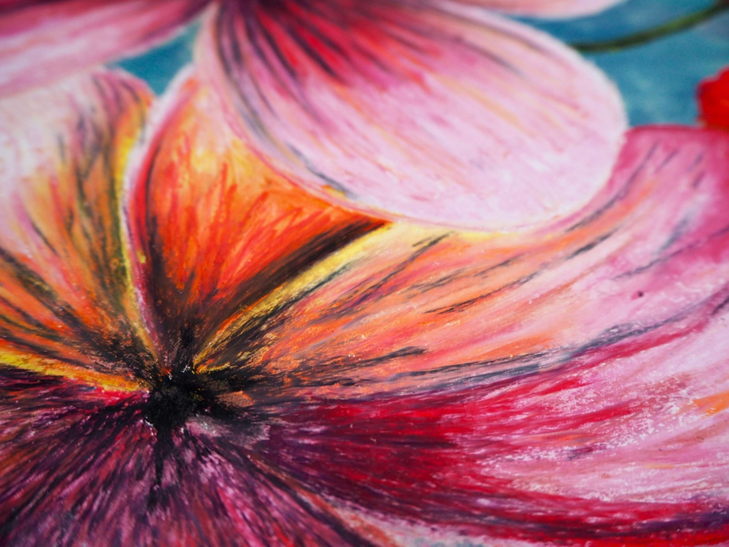 Drawing by Danijela Simikic