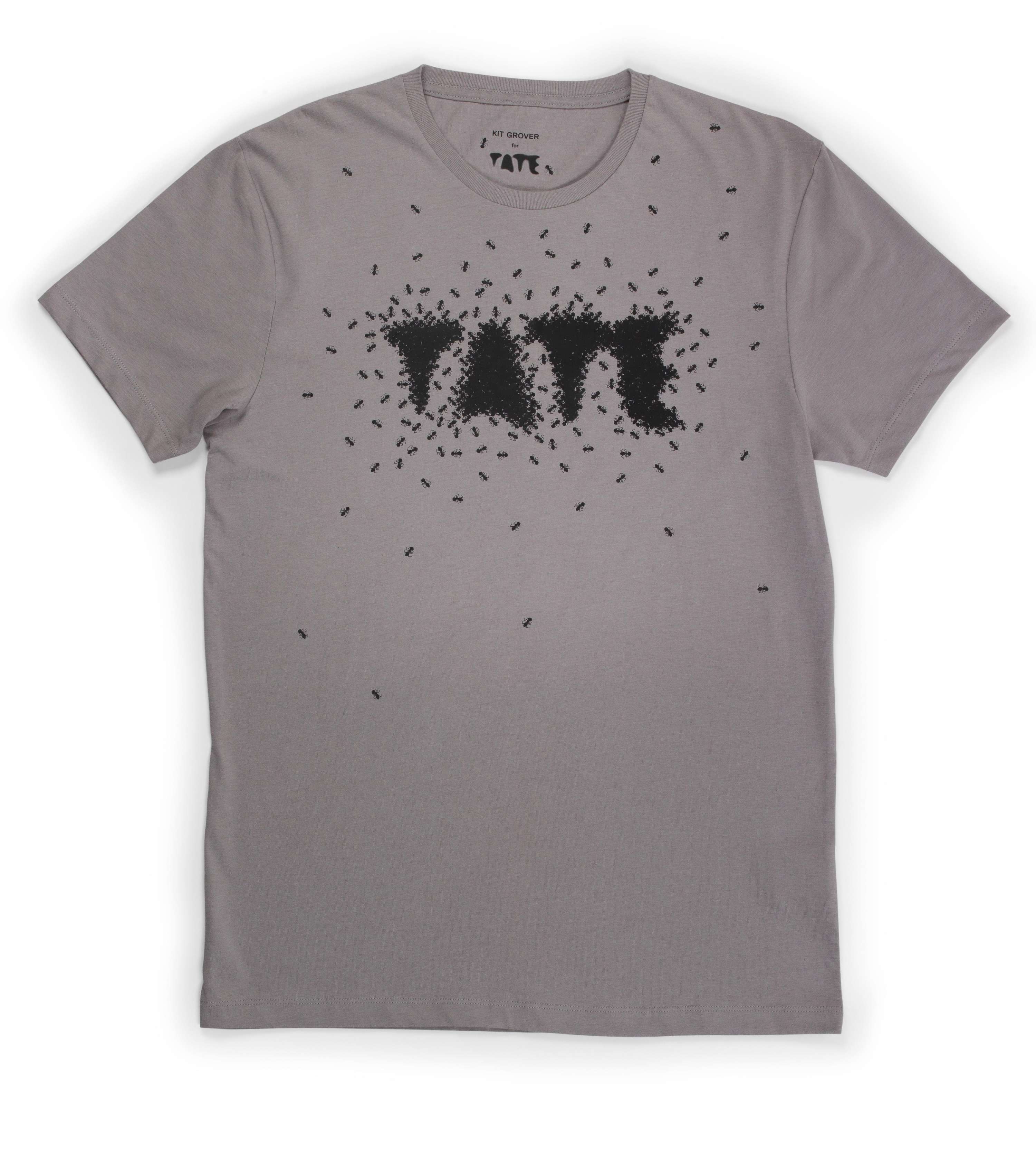 TATE - Ants by Tom Baxter