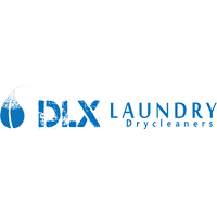 DLX Laundry logo