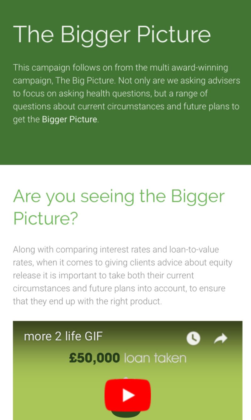 The Bigger Picture by Jennafer Holt