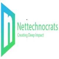 Nettechnocrats IT Services logo