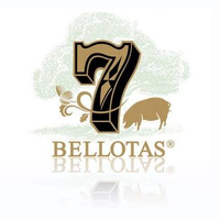 7 Bellotas Ltd. logo
