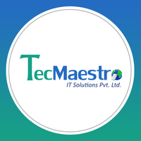 TecMaestro IT Solutions logo