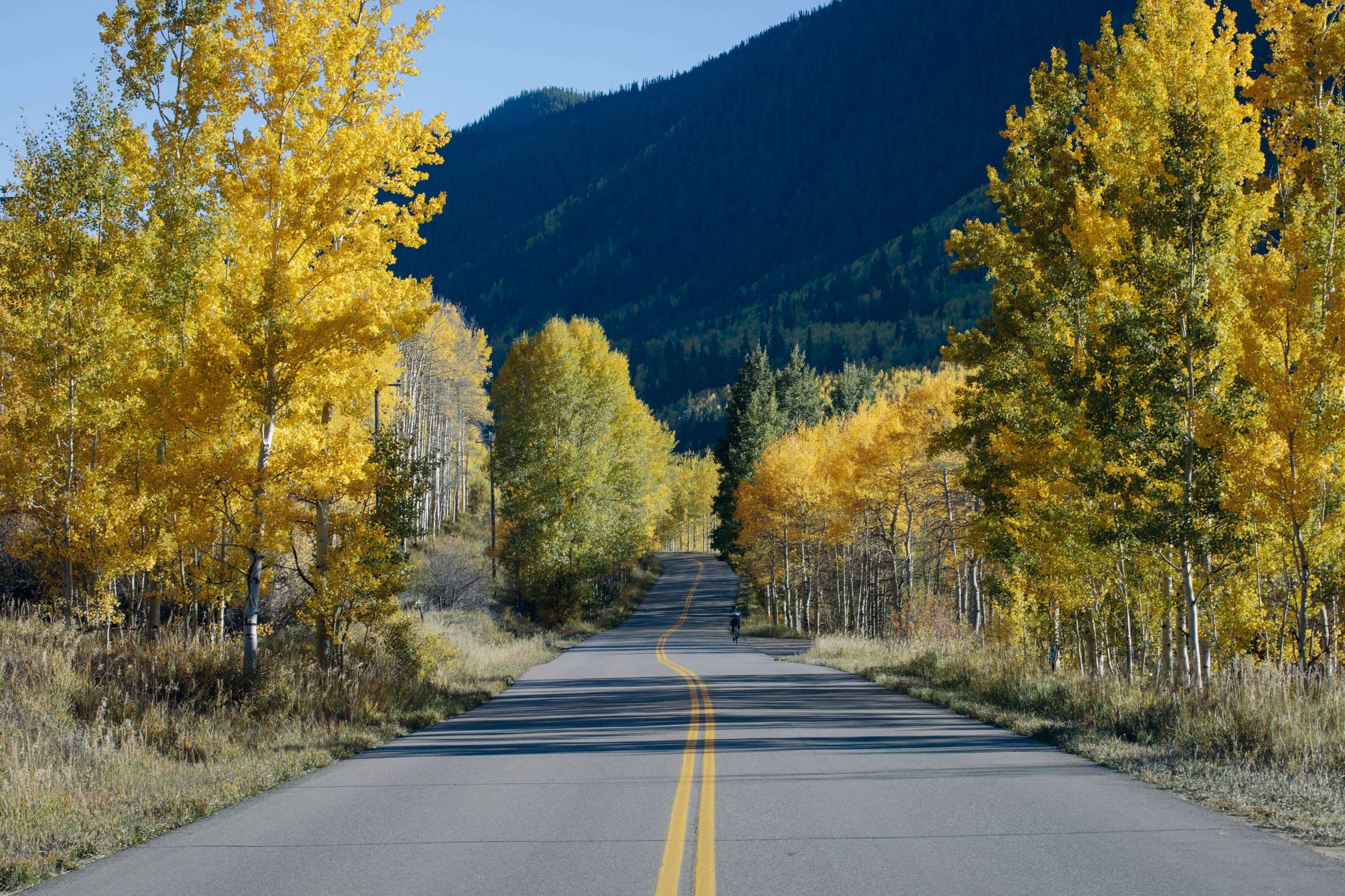 Fall in Colorado by James Glacier