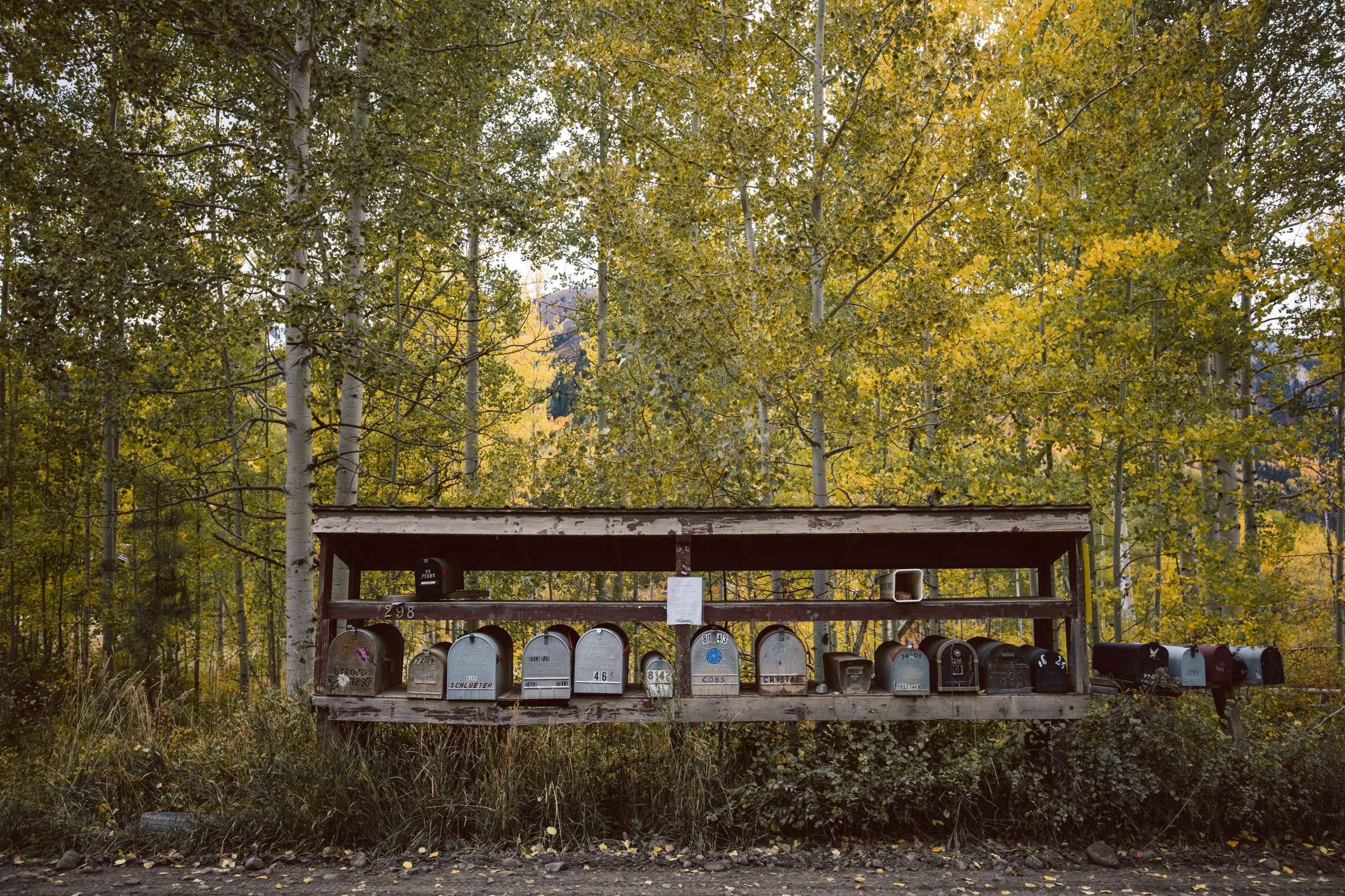 Fall in Colorado by James Glacier