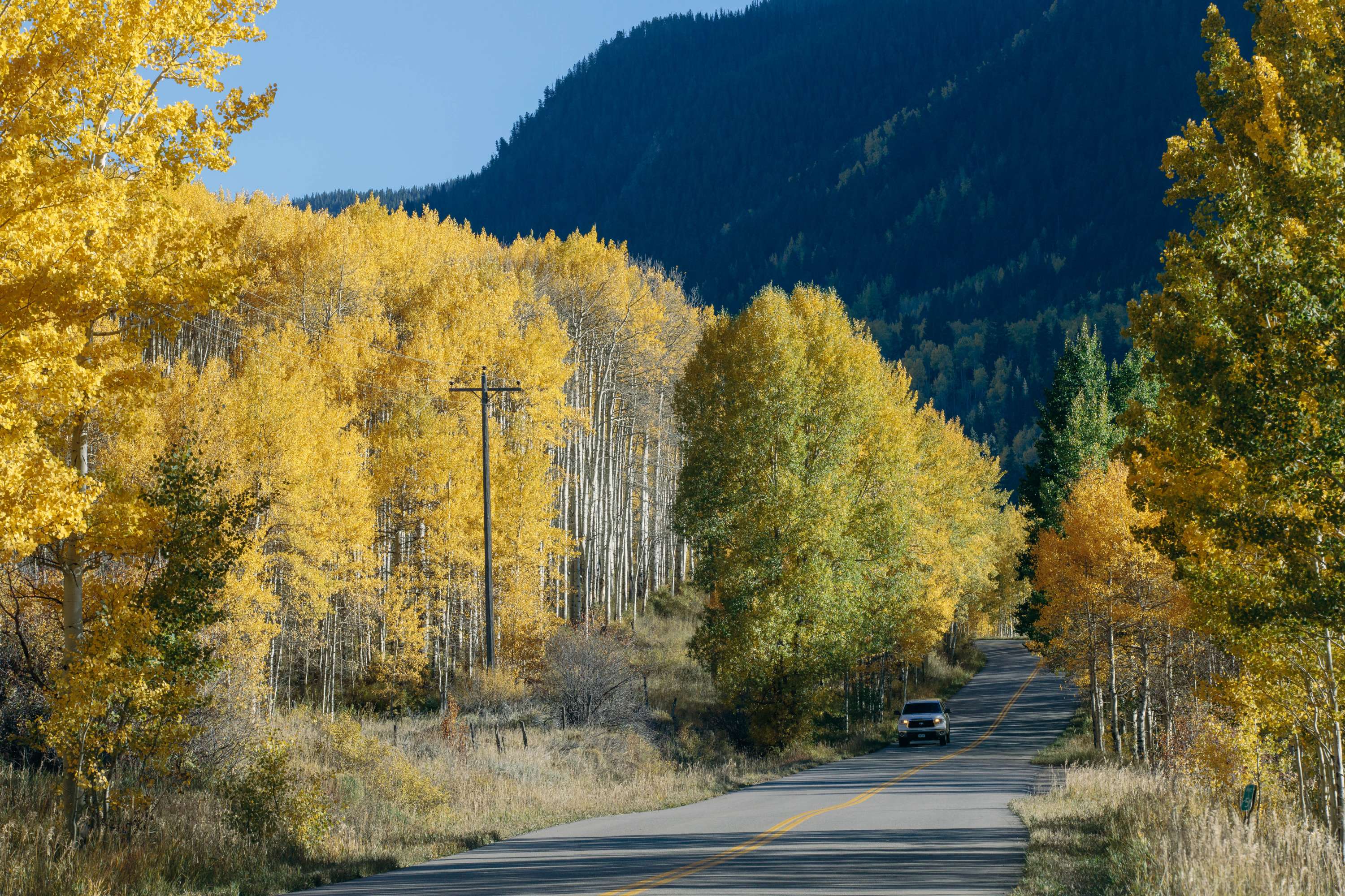 Fall in Colorado by James Glacier