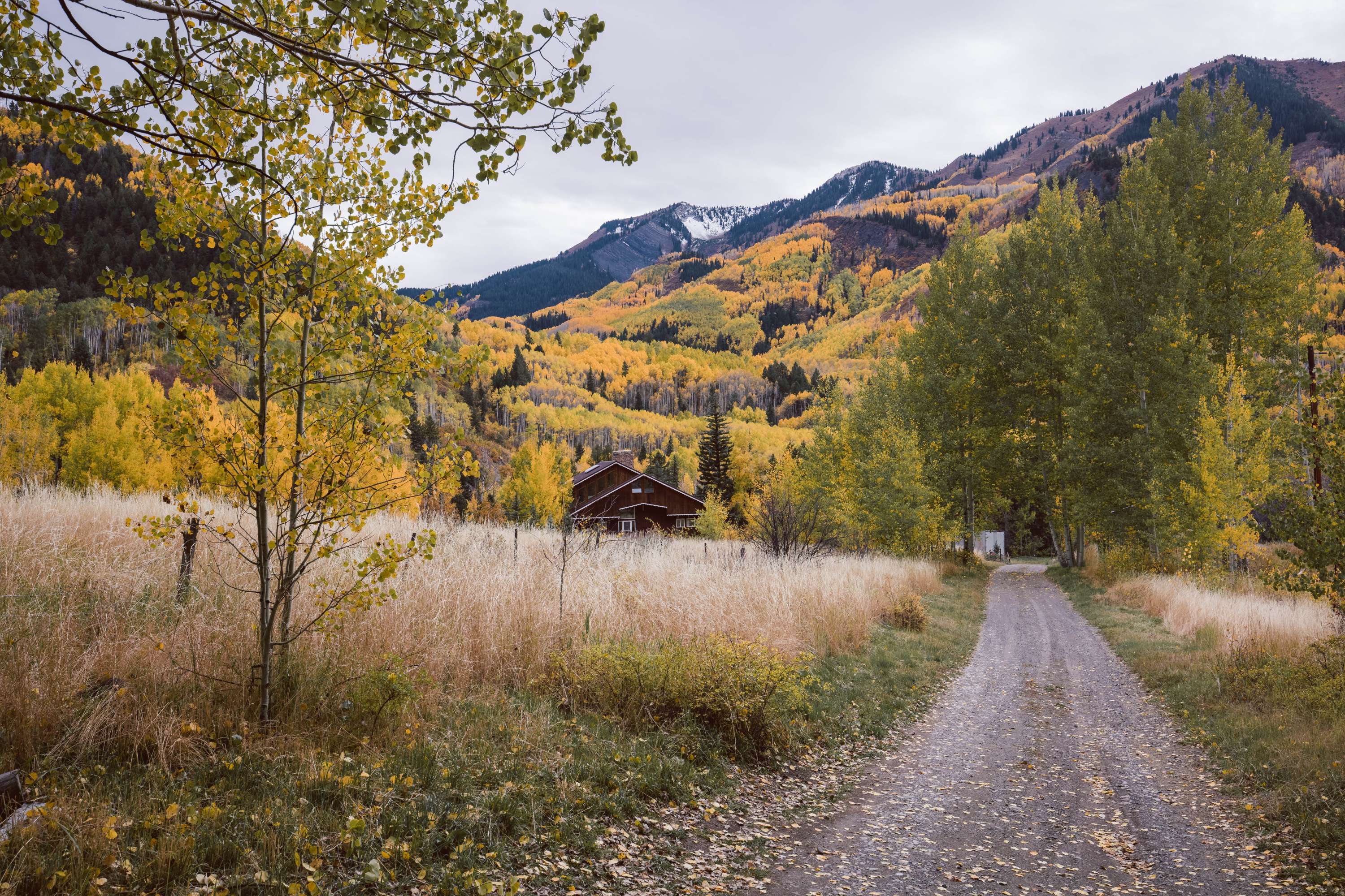 Fall in Colorado by James Glacier
