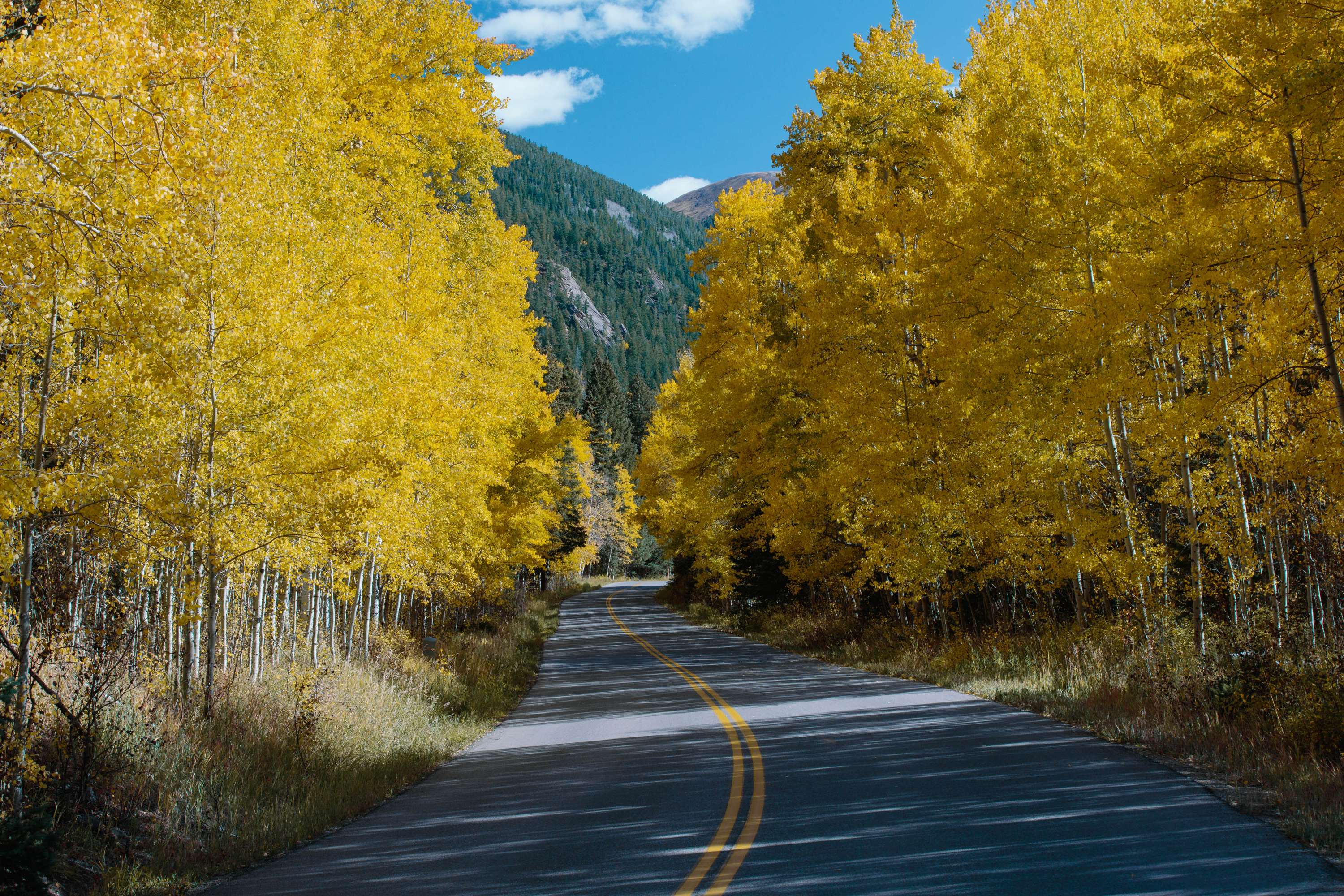Fall in Colorado by James Glacier