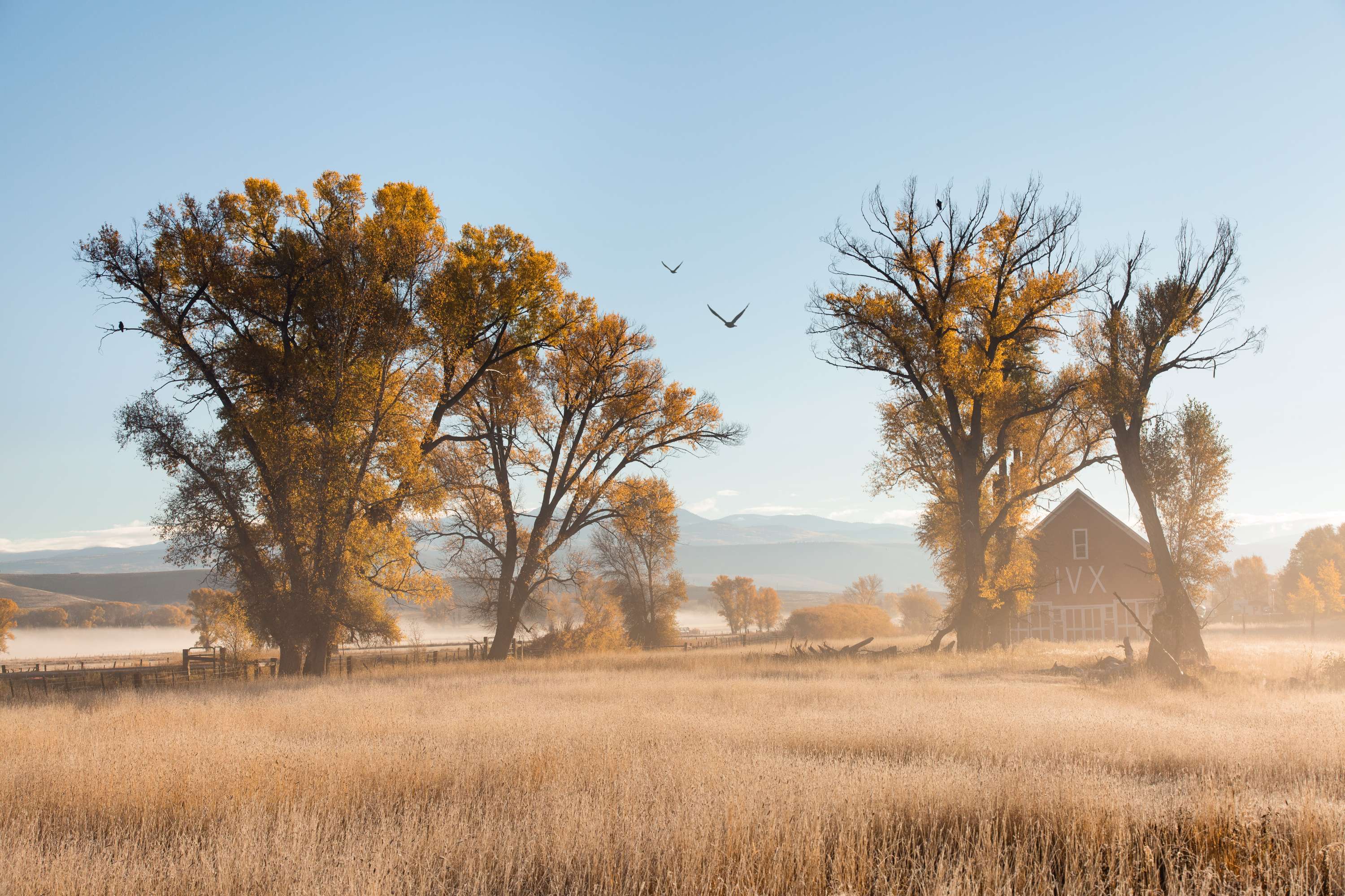 Fall in Colorado by James Glacier