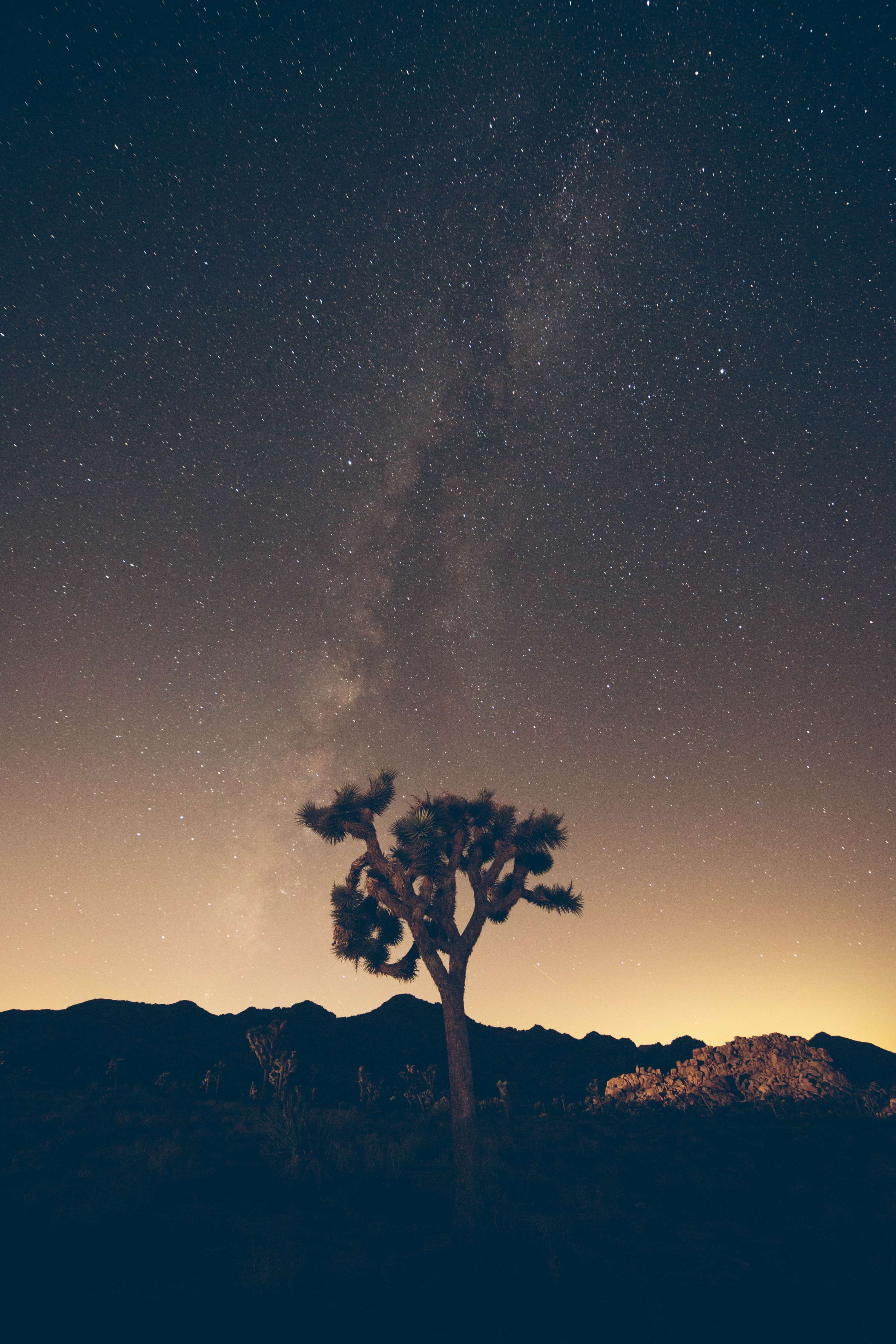 24 hours in Joshua Tree - California by James Glacier