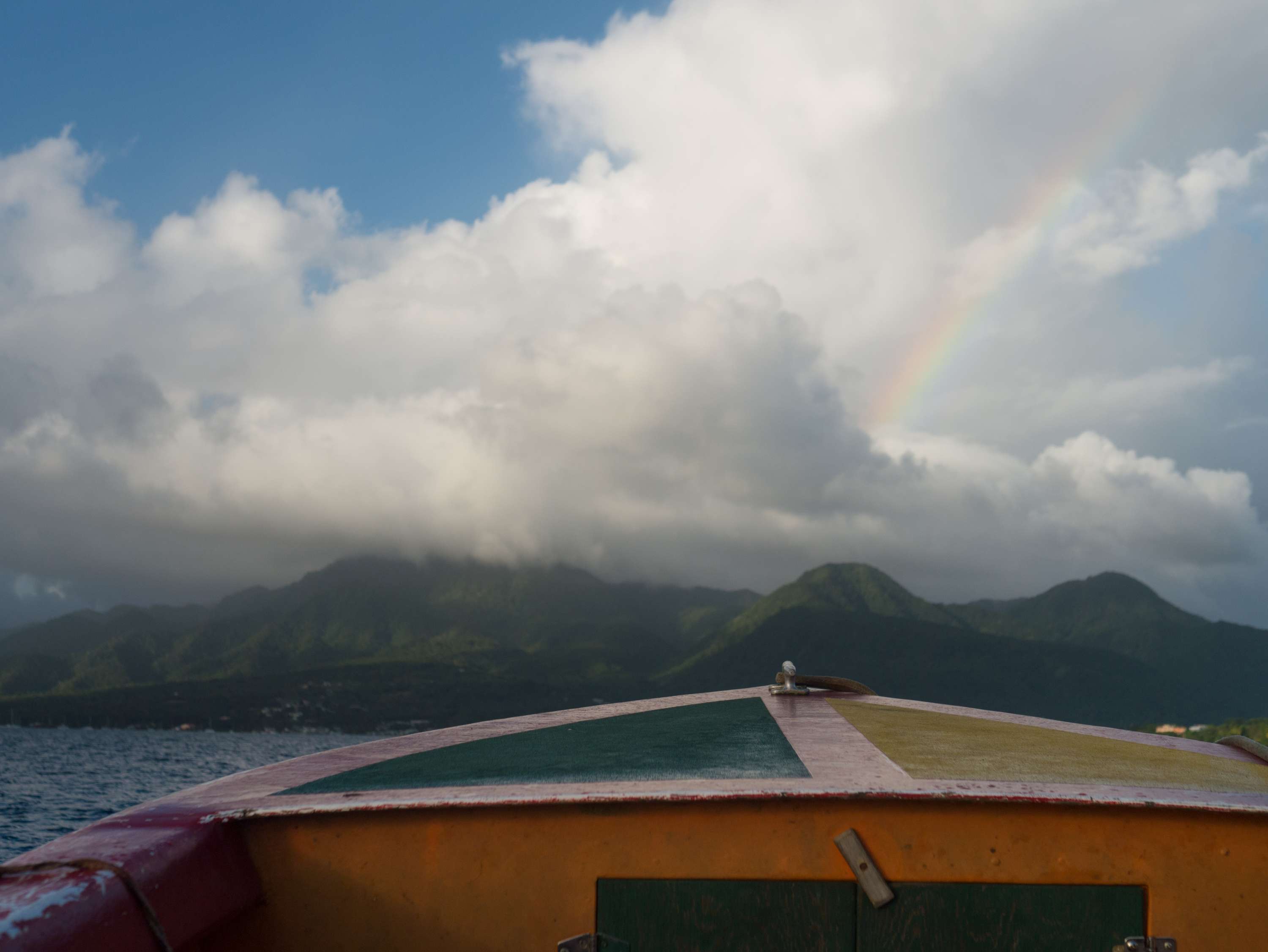 Home: Returning to Dominica by Abel Holsborough