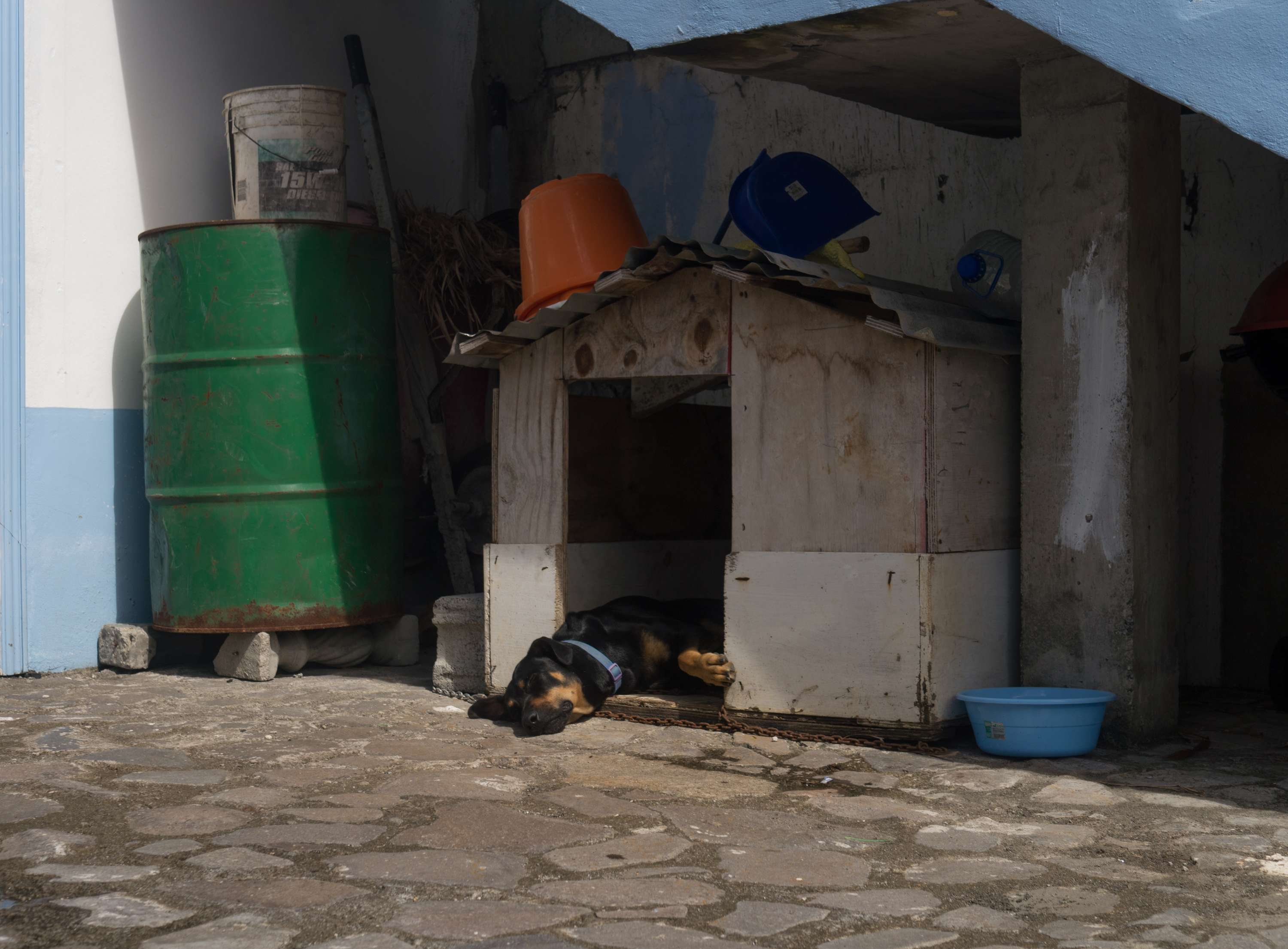 Home: Returning to Dominica by Abel Holsborough