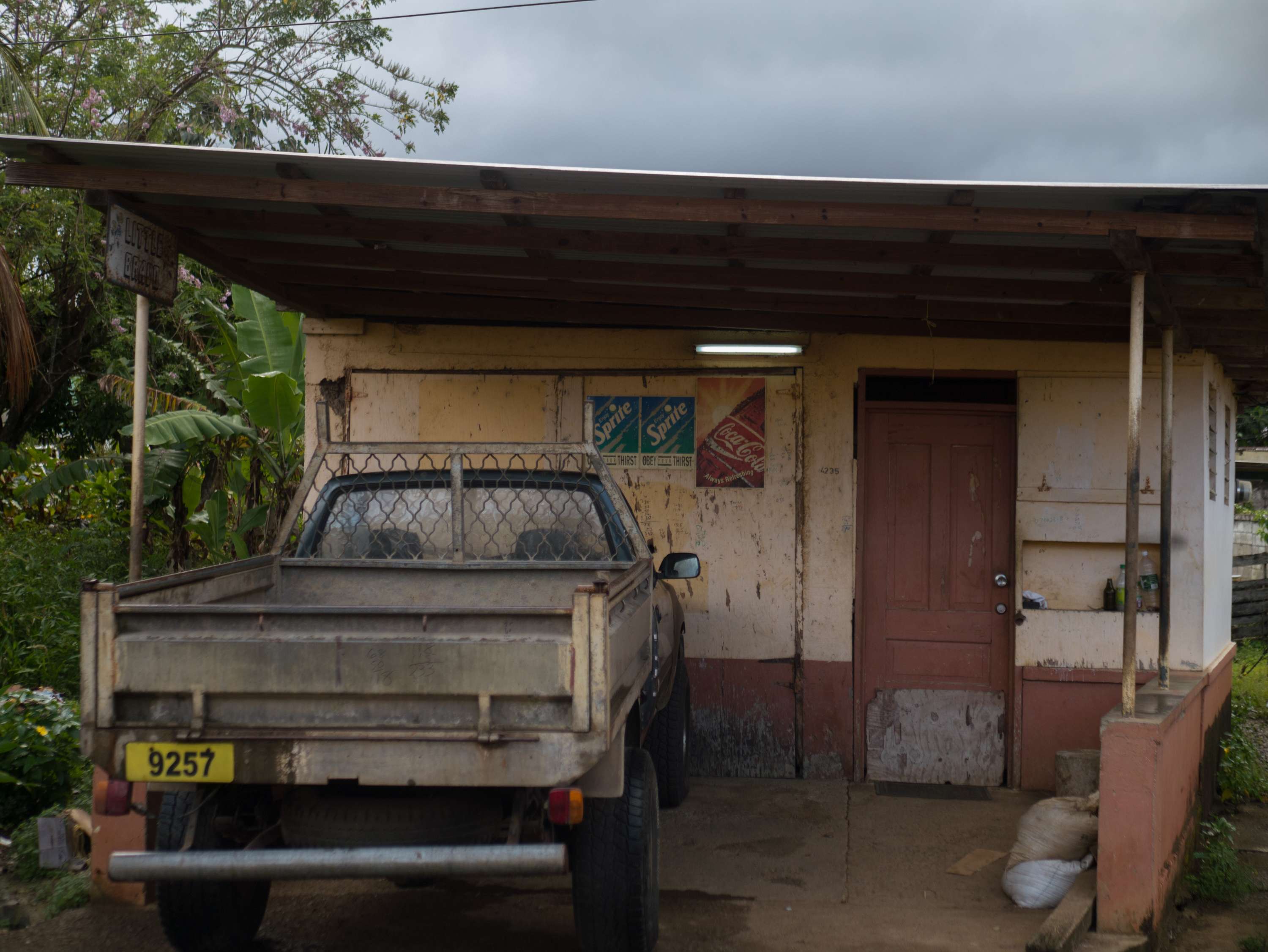 Home: Returning to Dominica by Abel Holsborough