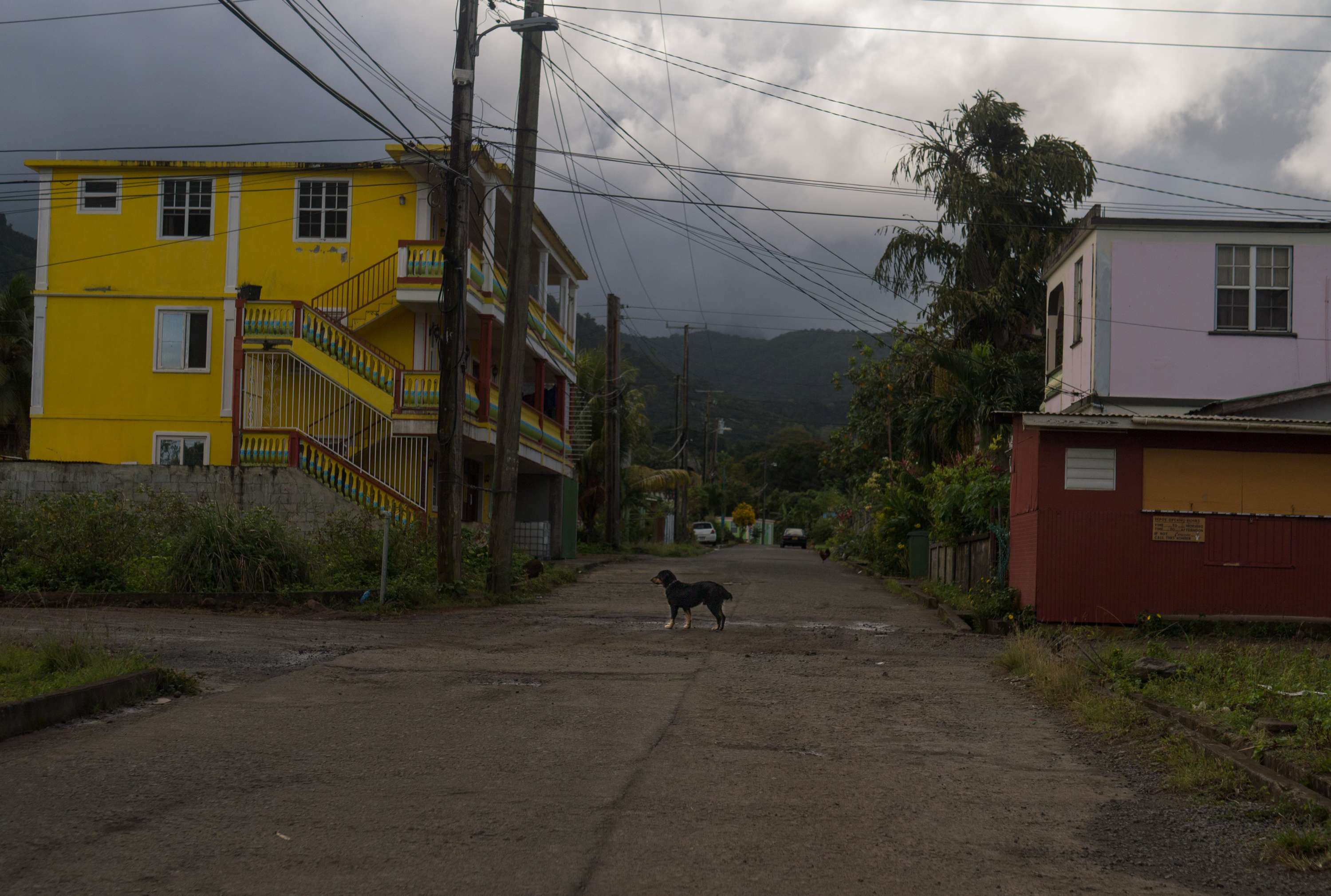 Home: Returning to Dominica by Abel Holsborough