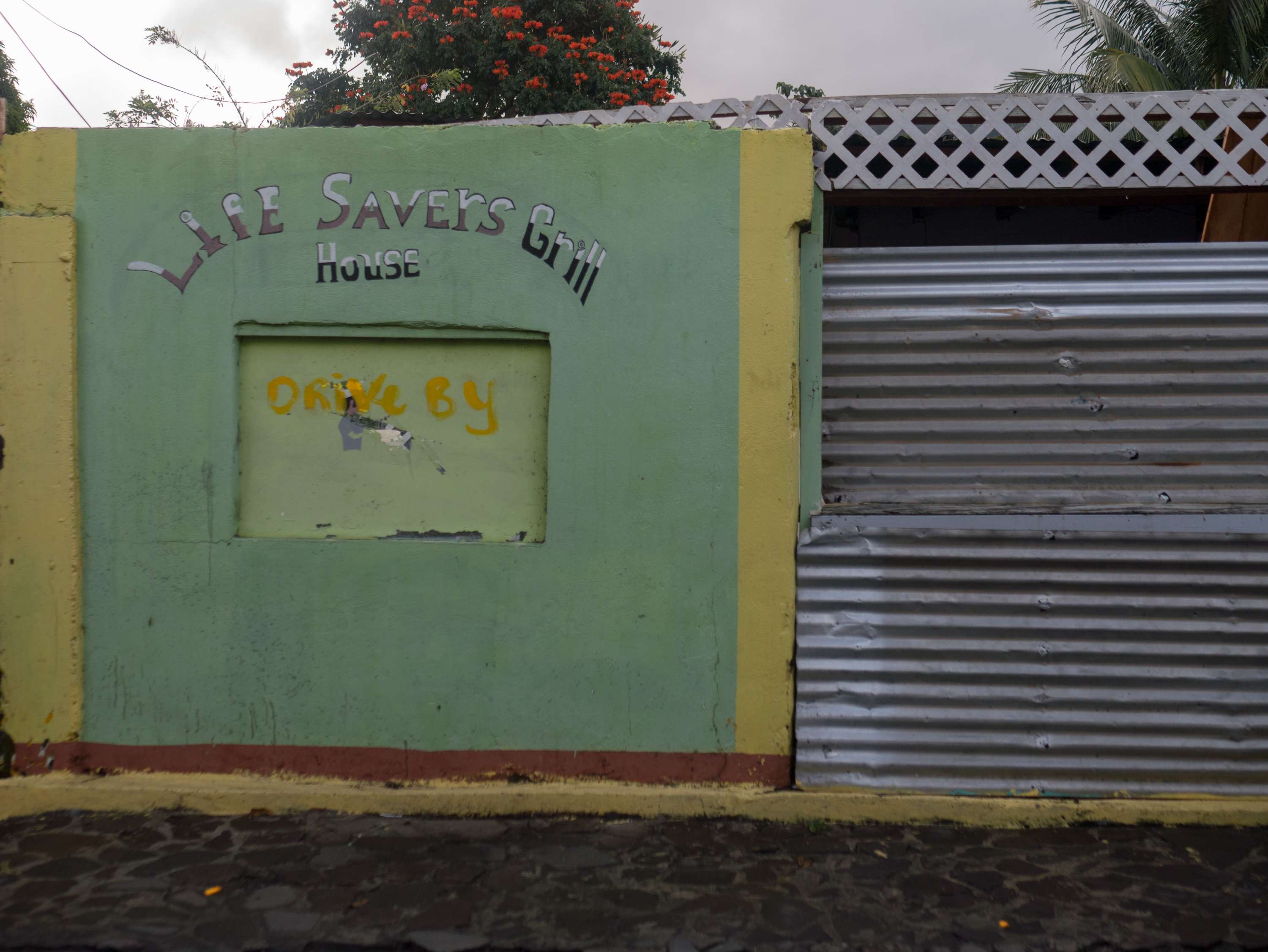 Home: Returning to Dominica by Abel Holsborough
