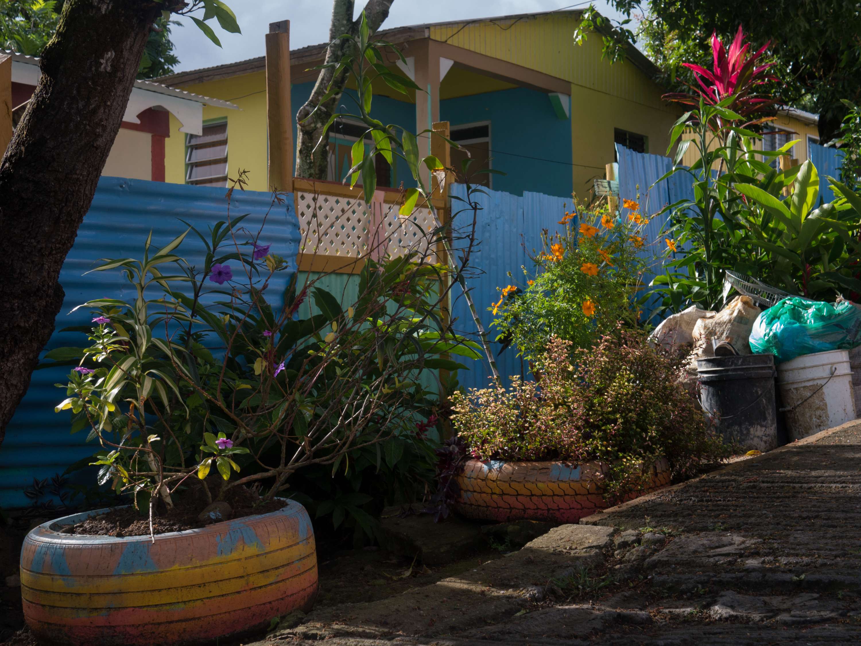 Home: Returning to Dominica by Abel Holsborough