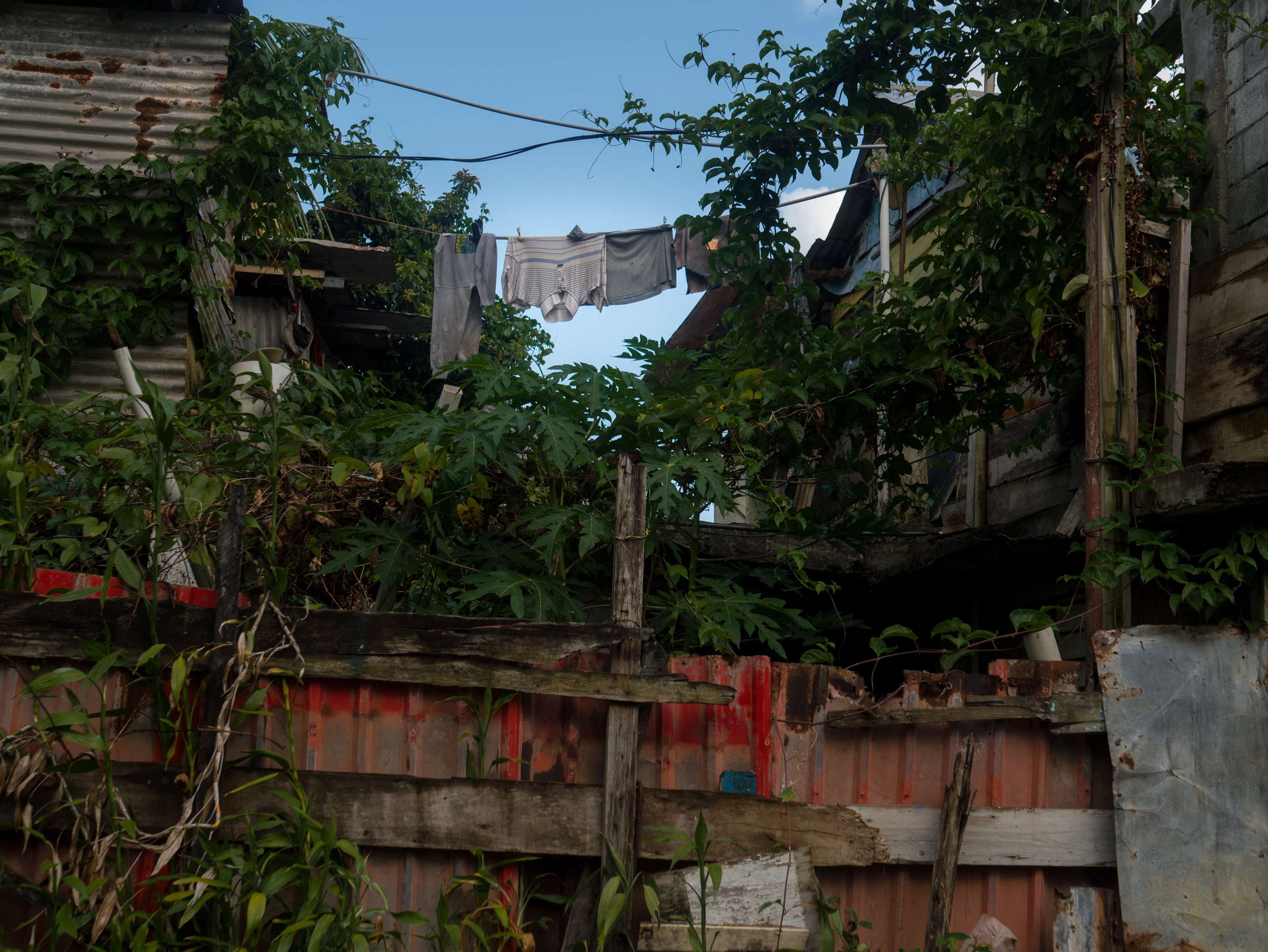 Home: Returning to Dominica by Abel Holsborough