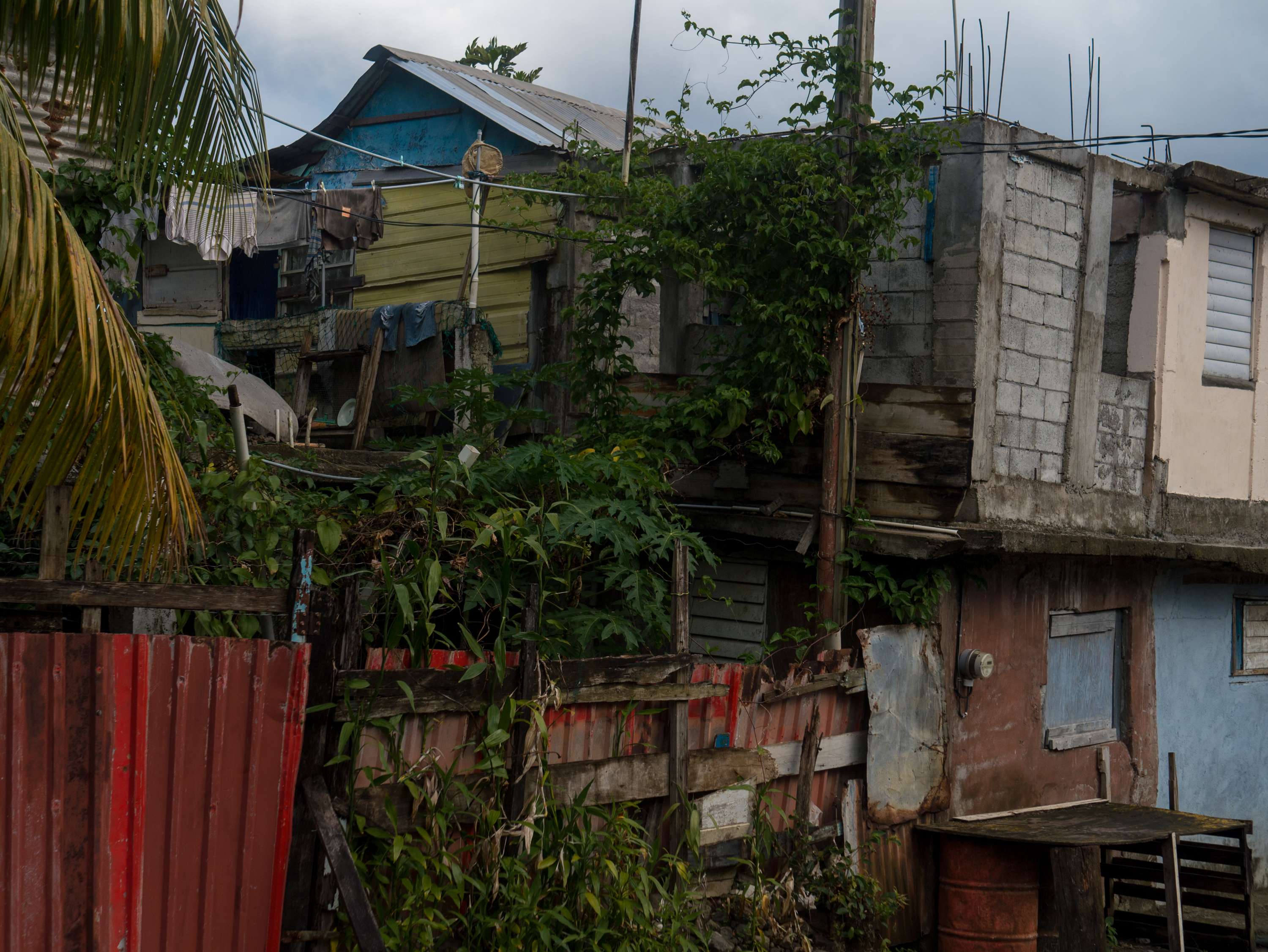 Home: Returning to Dominica by Abel Holsborough