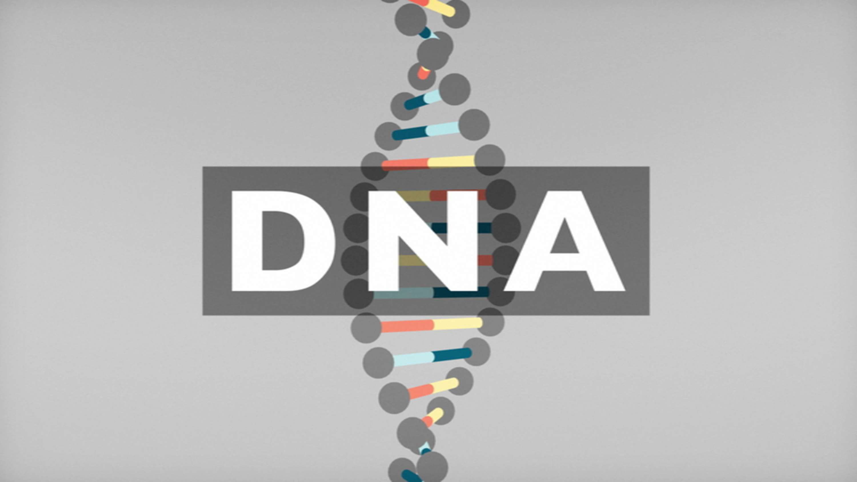 BBC Knowledge Explainer DNA by Territory Studio