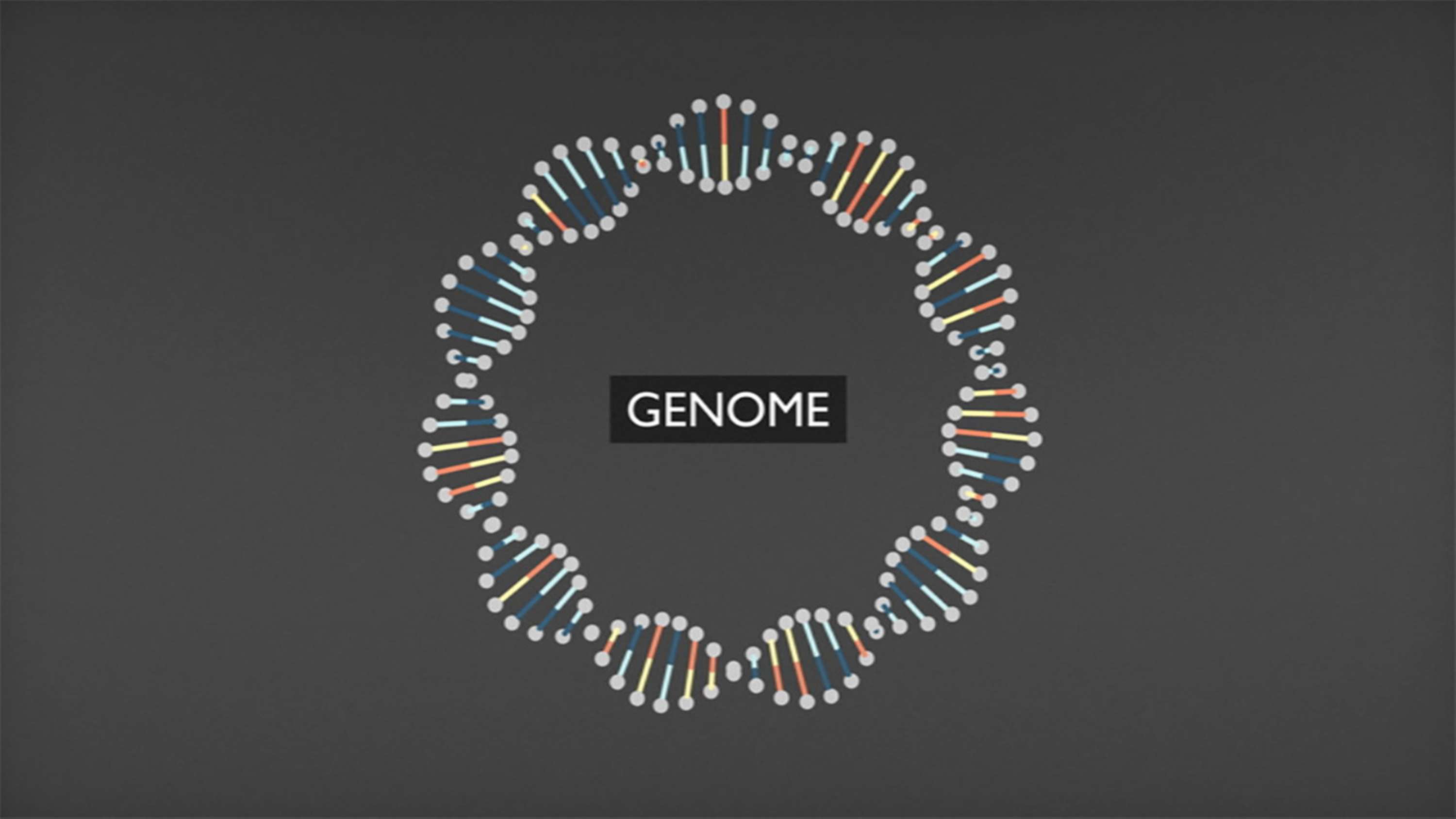 BBC Knowledge Explainer DNA by Territory Studio