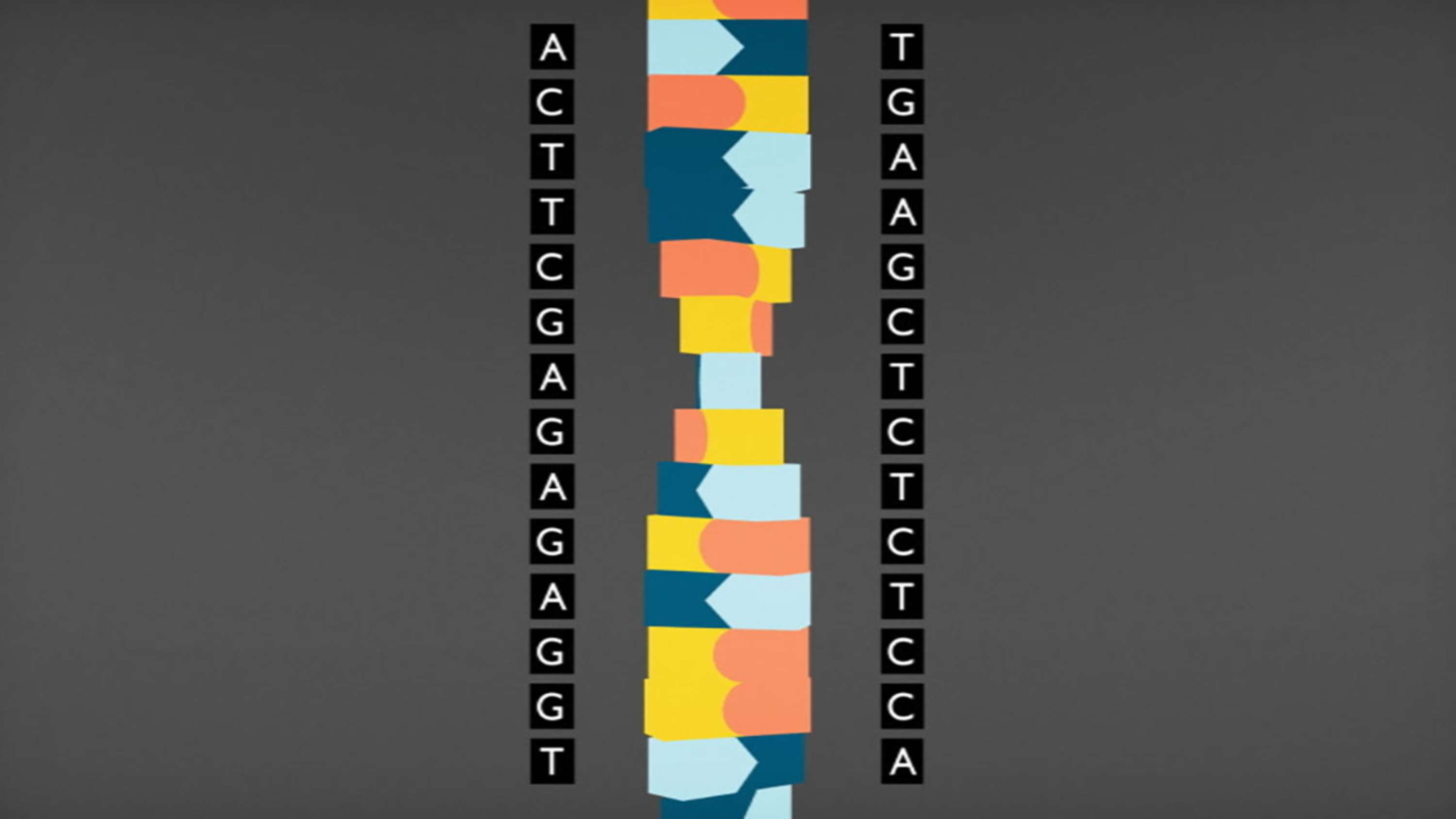 BBC Knowledge Explainer DNA by Territory Studio