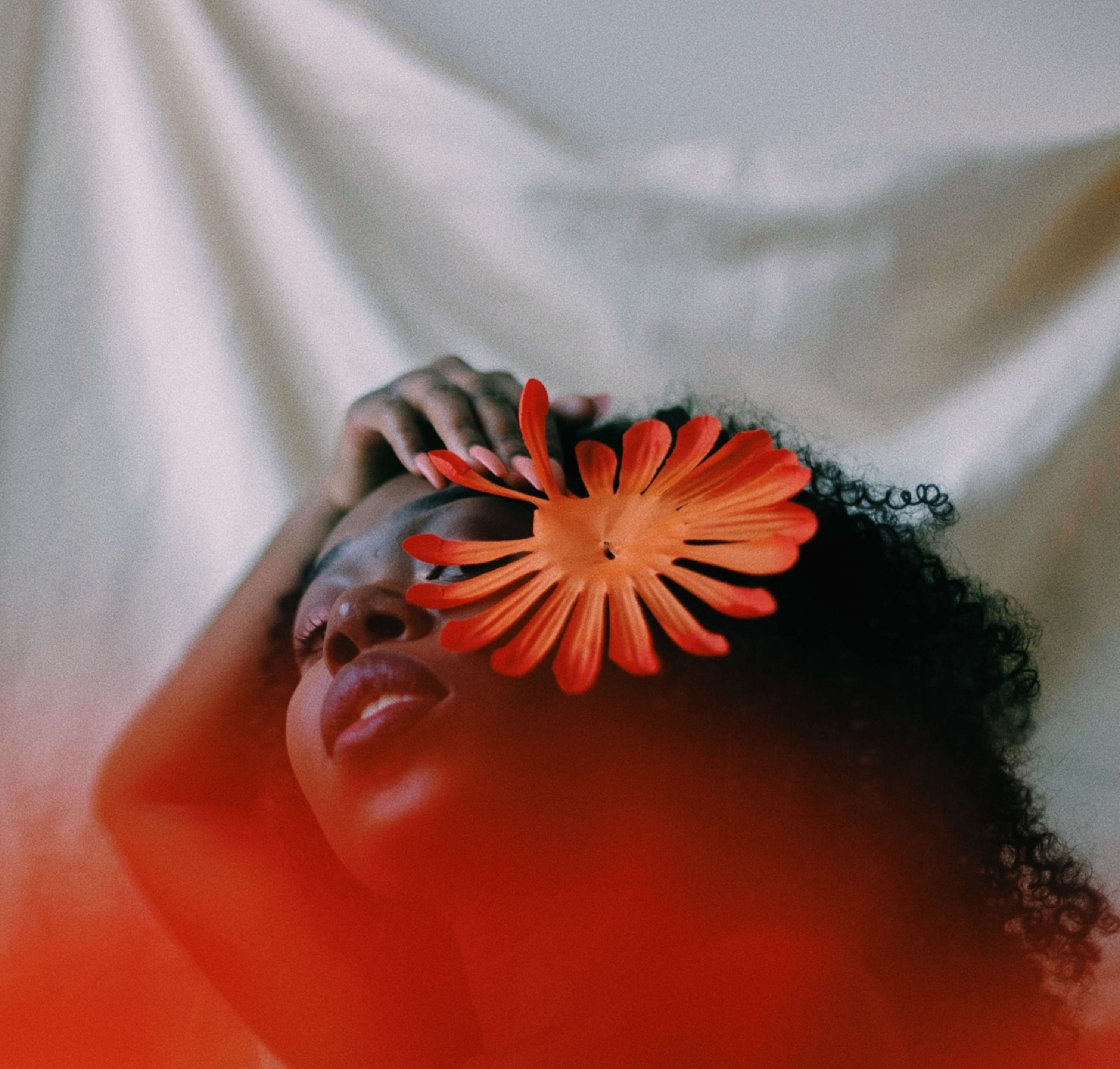 Works by Adaeze Ihebom